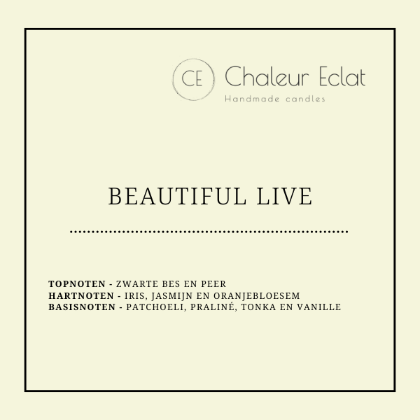 Choclatebar waxmelt geur BEAUTIFUL LIVE