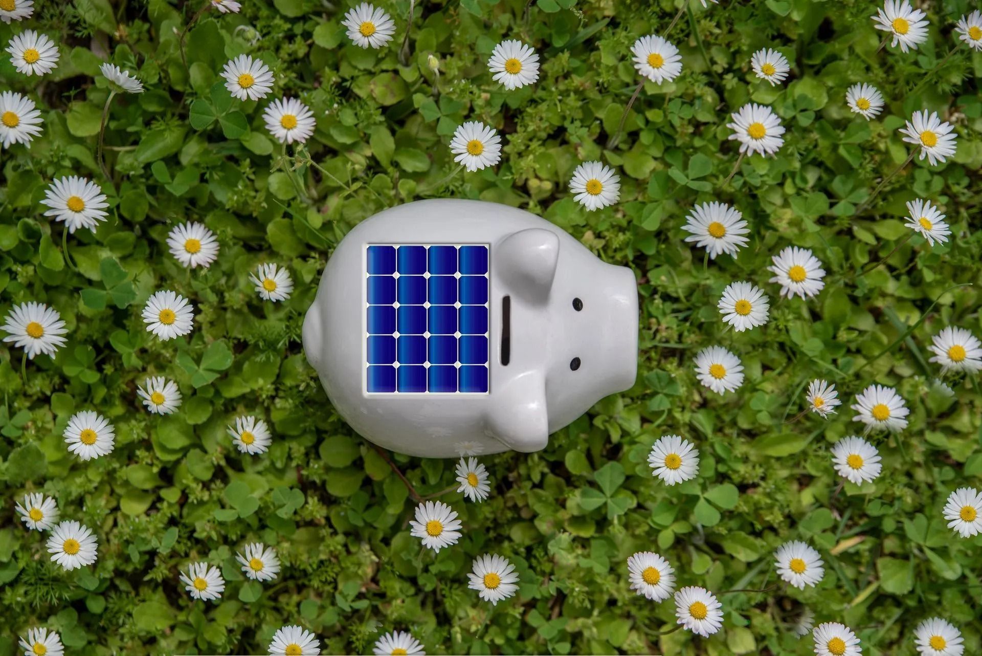 Robot bianco con pannelli solari blu sdraiato su un prato verde con margherite bianche