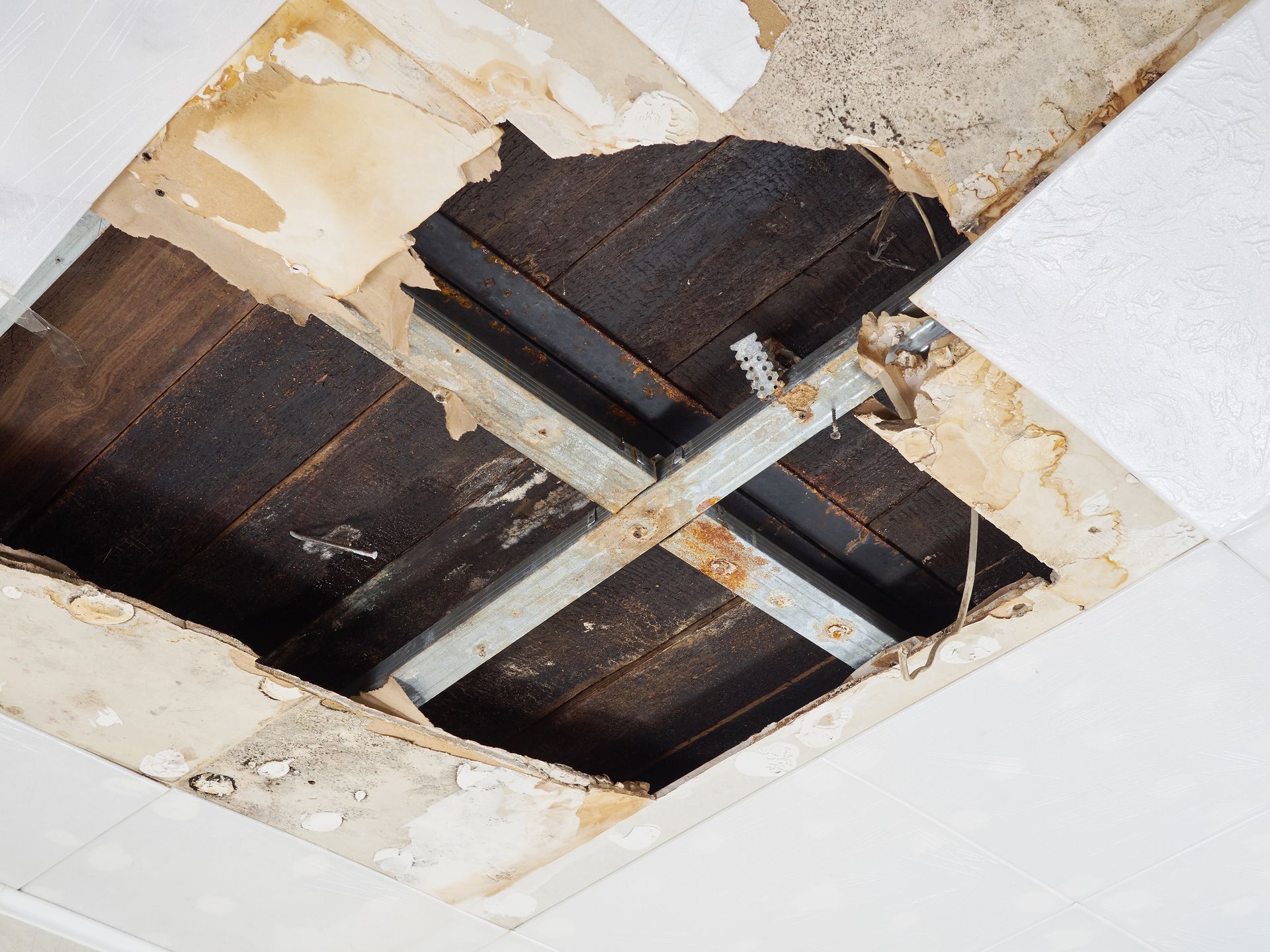The Benefits of Commercial Water Damage Restoration