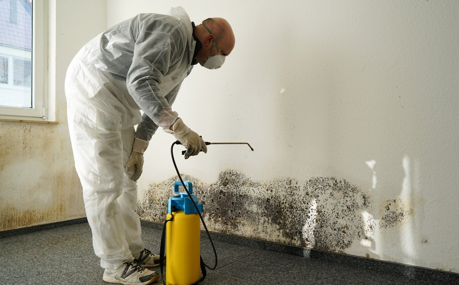 mold and biohazard remediation services