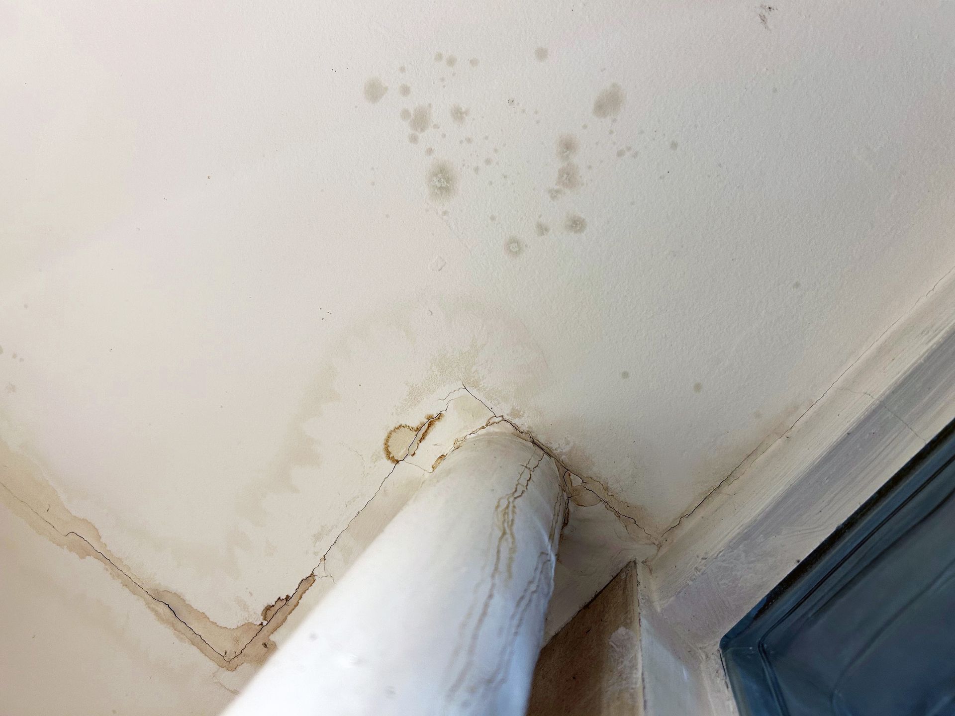 How Pre-Loss Planning Helps Protect Your Business from Water Damage