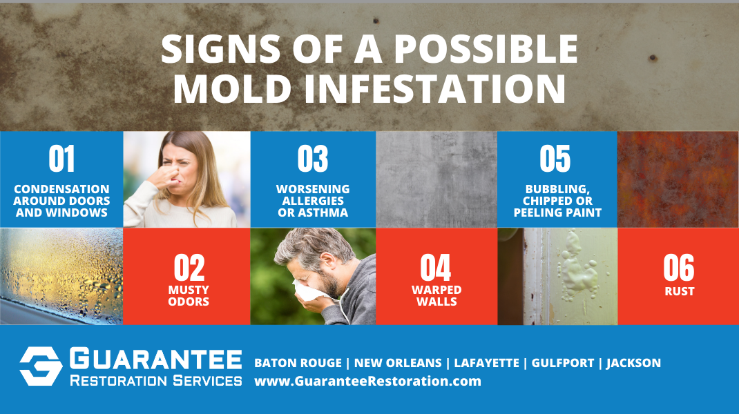 signs of a mold infestation