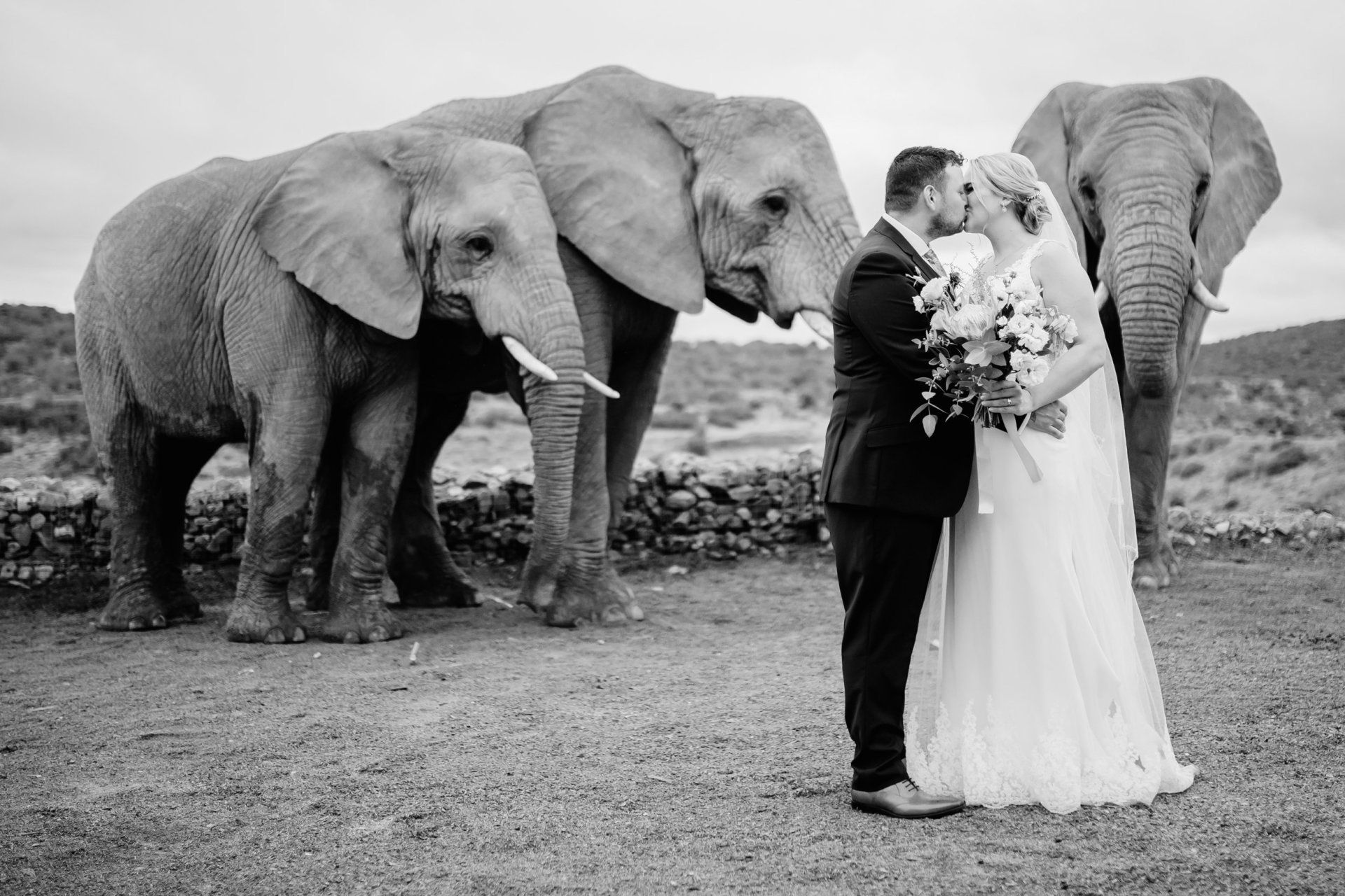 Bells & Whistles Cape Town Luxury Wedding Planner & Coordinator