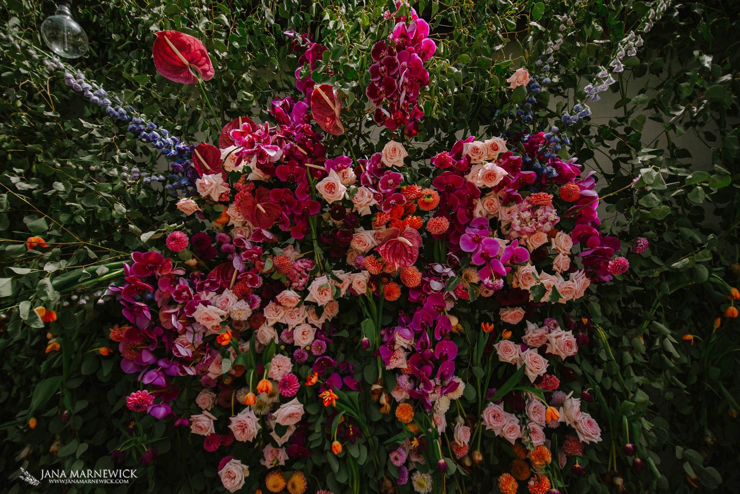 Au d'Hex Wedding - Wellington
