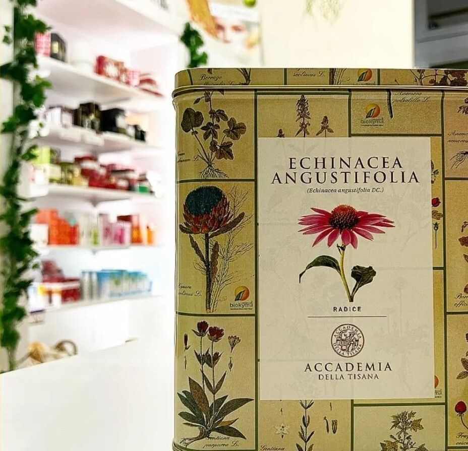 tisana echinacea