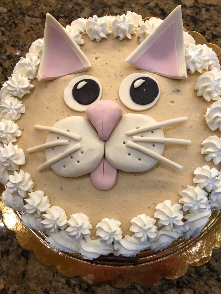torta gatto