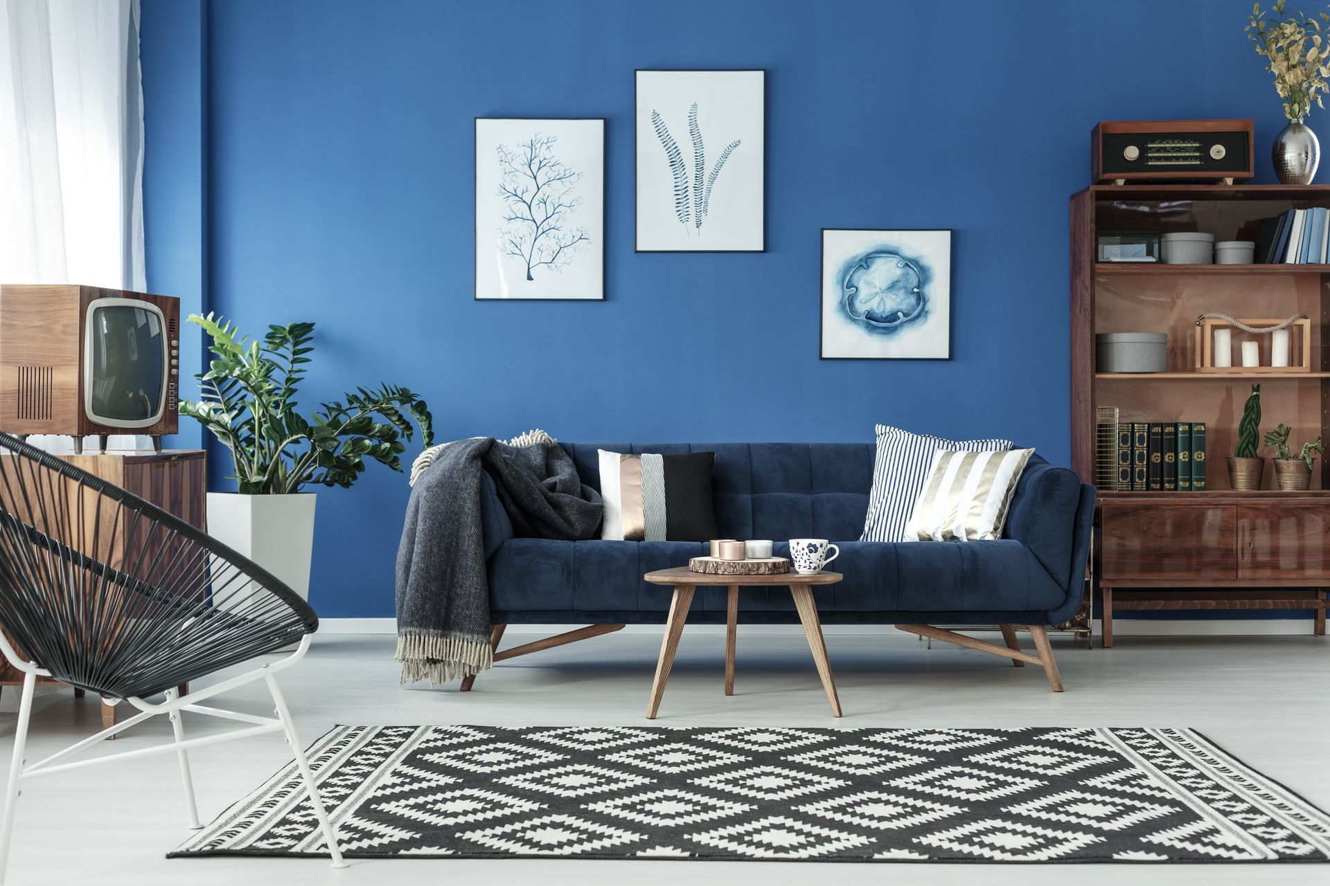Blue up-to-date decor of lounge with blue sofa and patterned carpet | Leppington NSW 