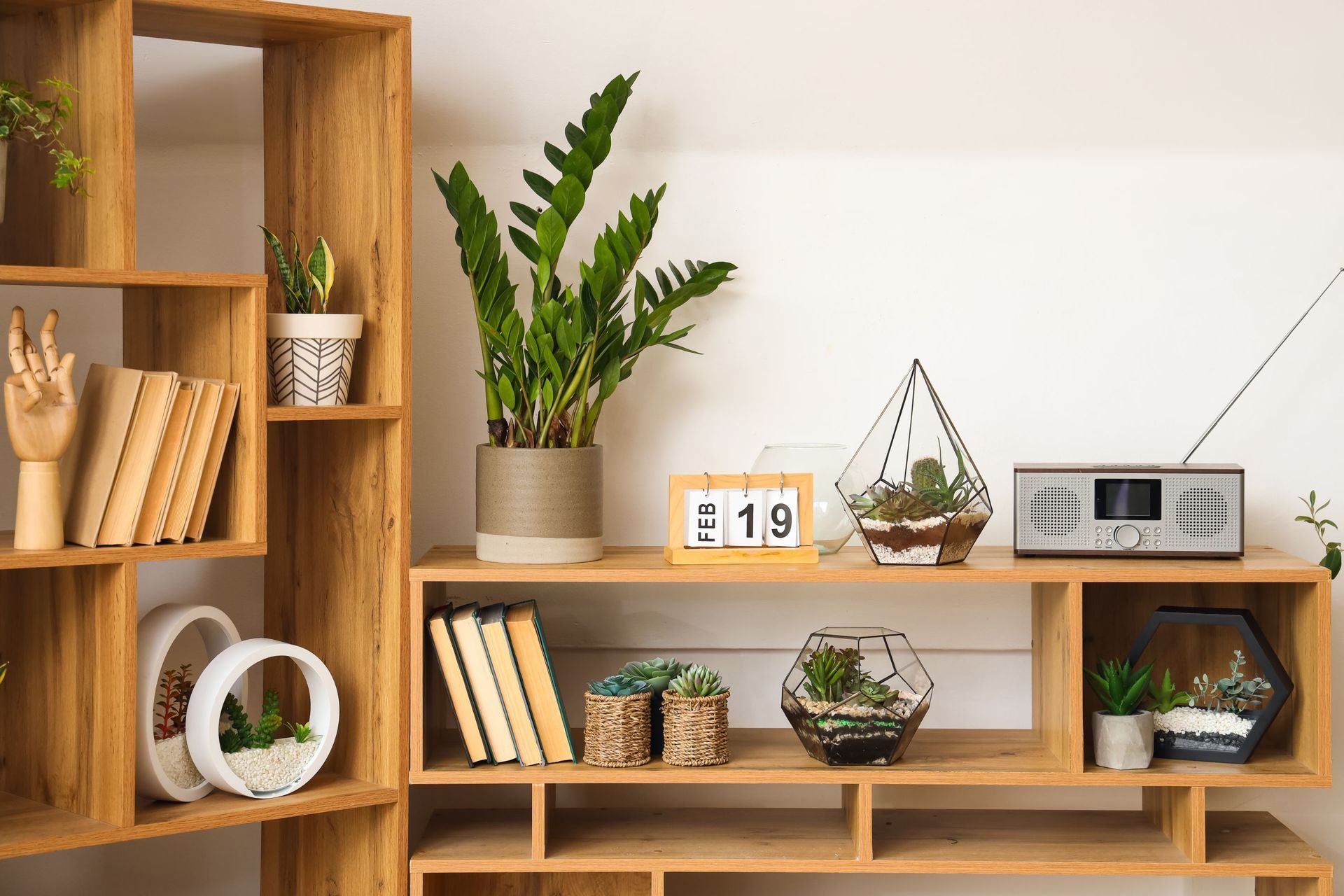 Wooden shelves with plants, books, and decorative items against a white wall.