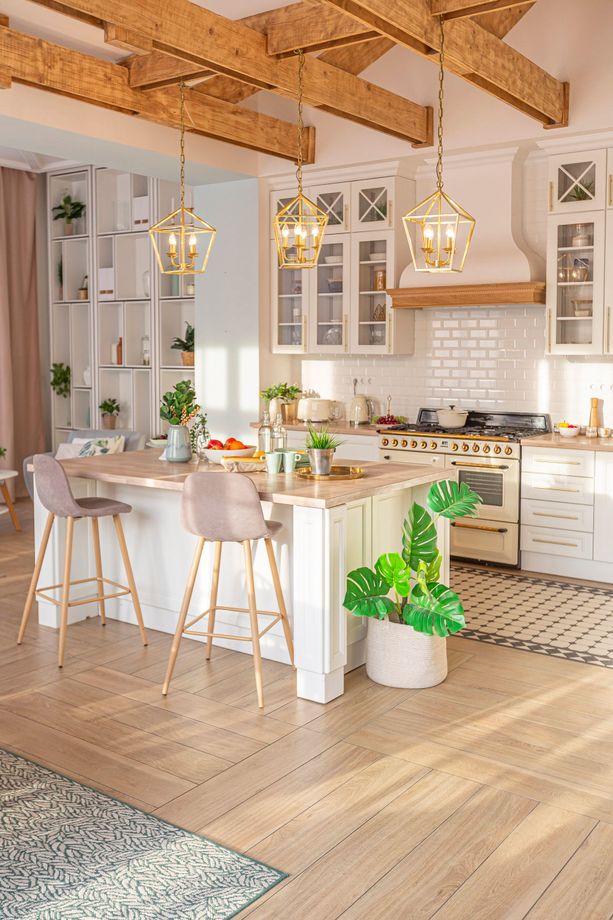modern luxurious kitchen