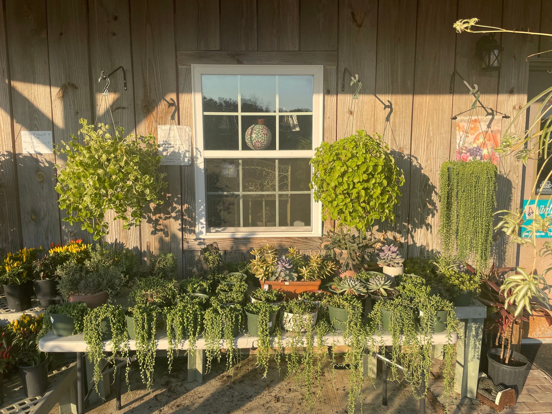 Red metal building with silver pipes and air conditioner unit, landscaped garden with a brick path.