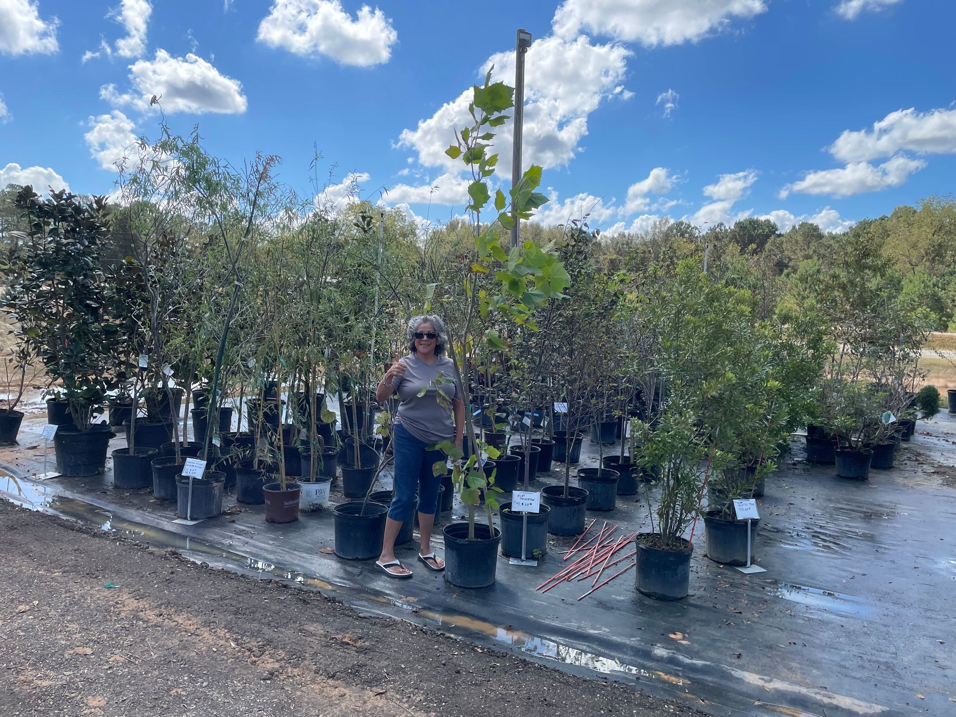 Woman standing among potted trees at a nursery, holding a tree trunk, under a blue sky.