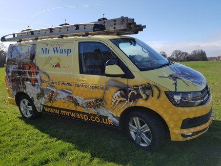 Mr Wasp Van