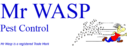 Mr Wasp company logo