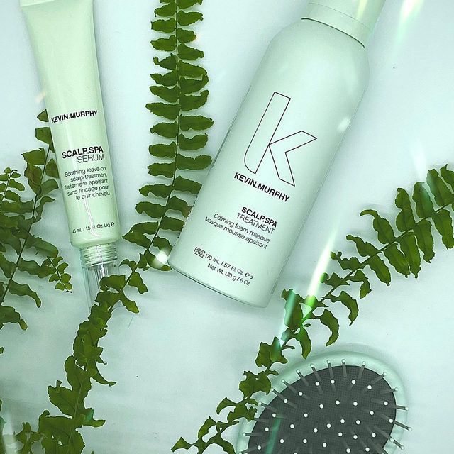 Mint-green haircare products with fern leaves and a scalp brush on a light background