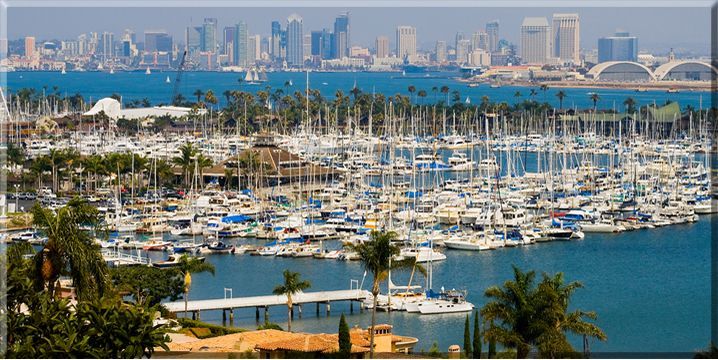 An aerial view of a marina with a city skyline in the background