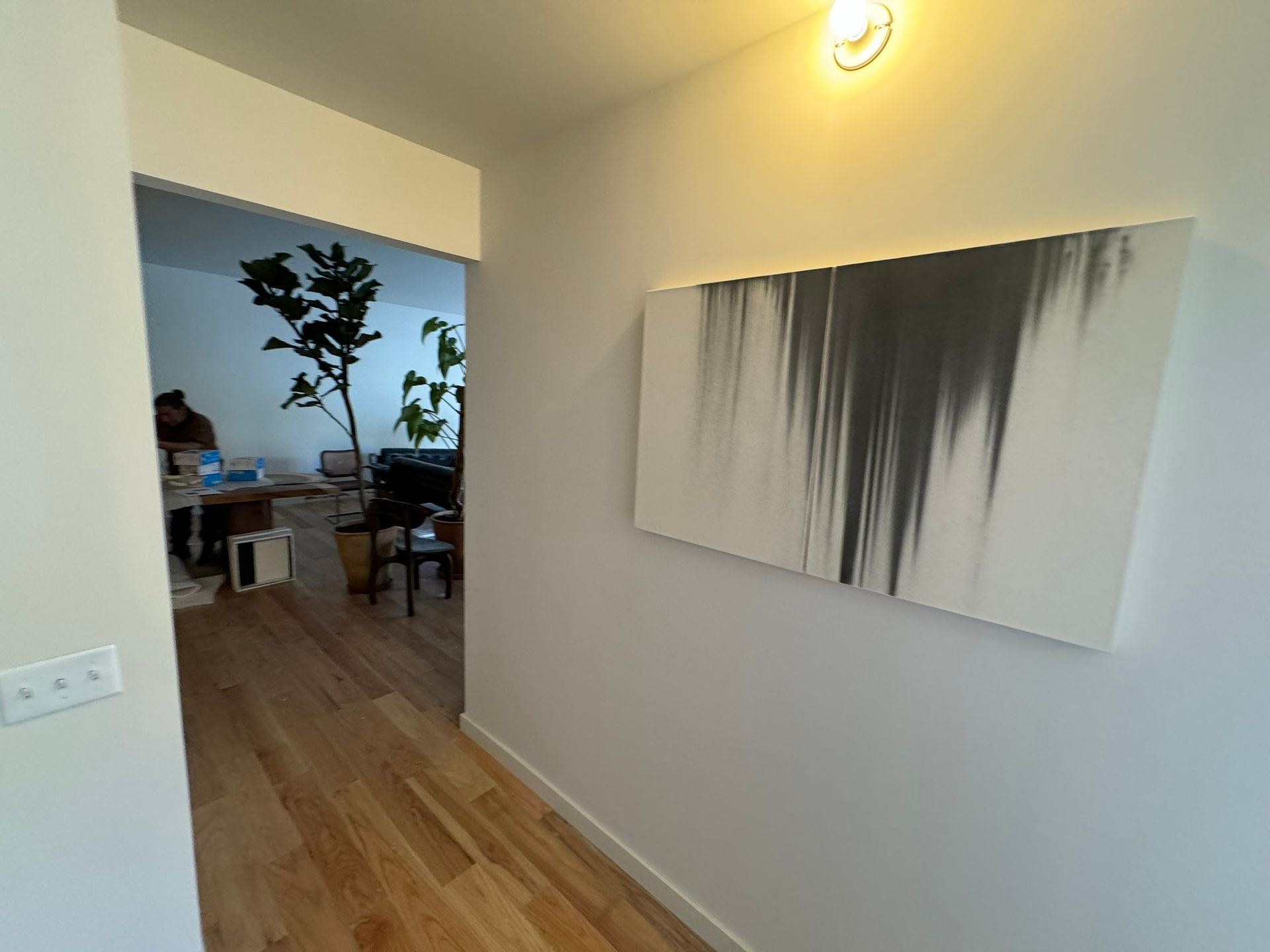 pavimentex Servicios de construcción residencial