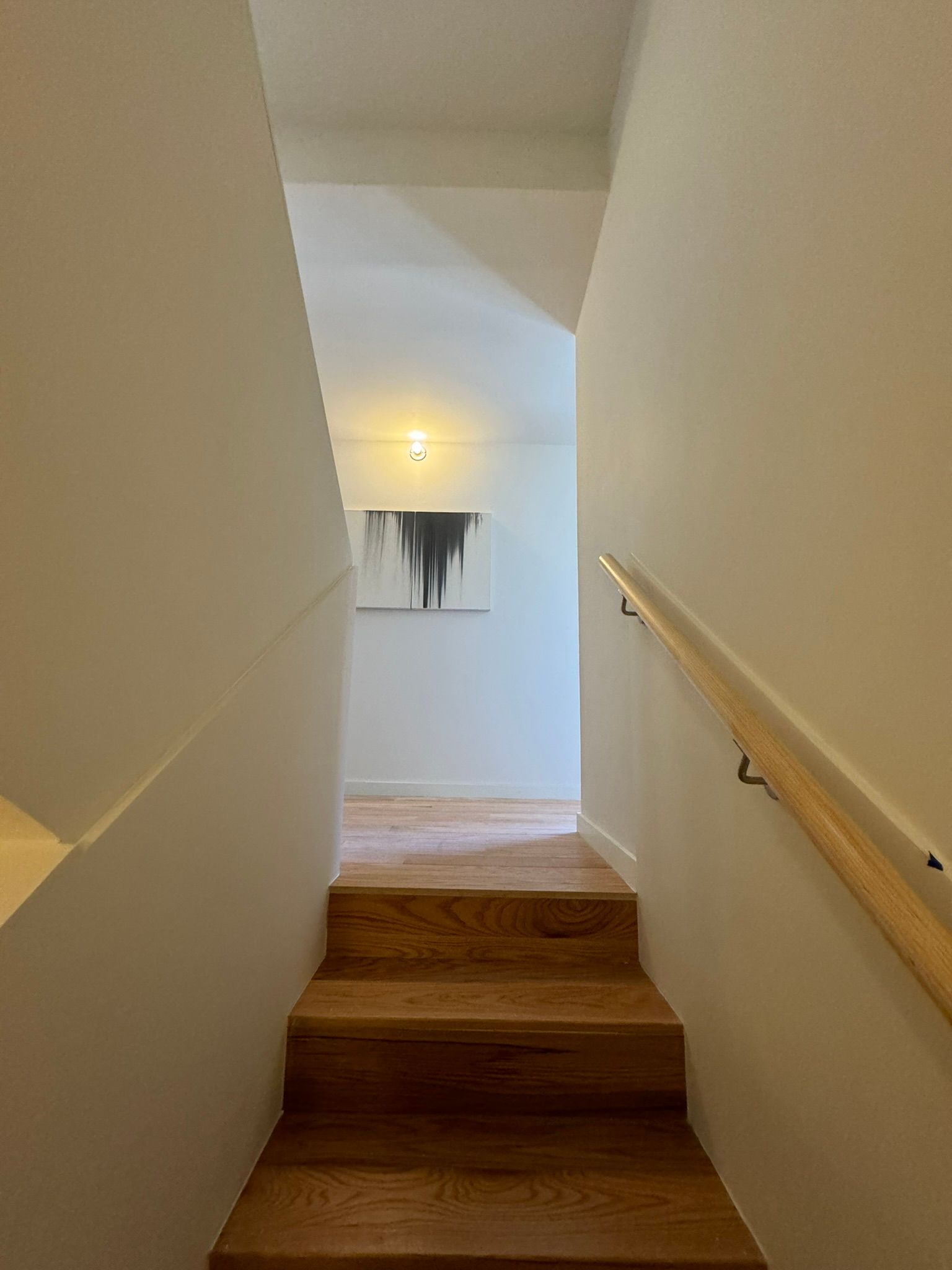 Construcción de casas con pavimentex 