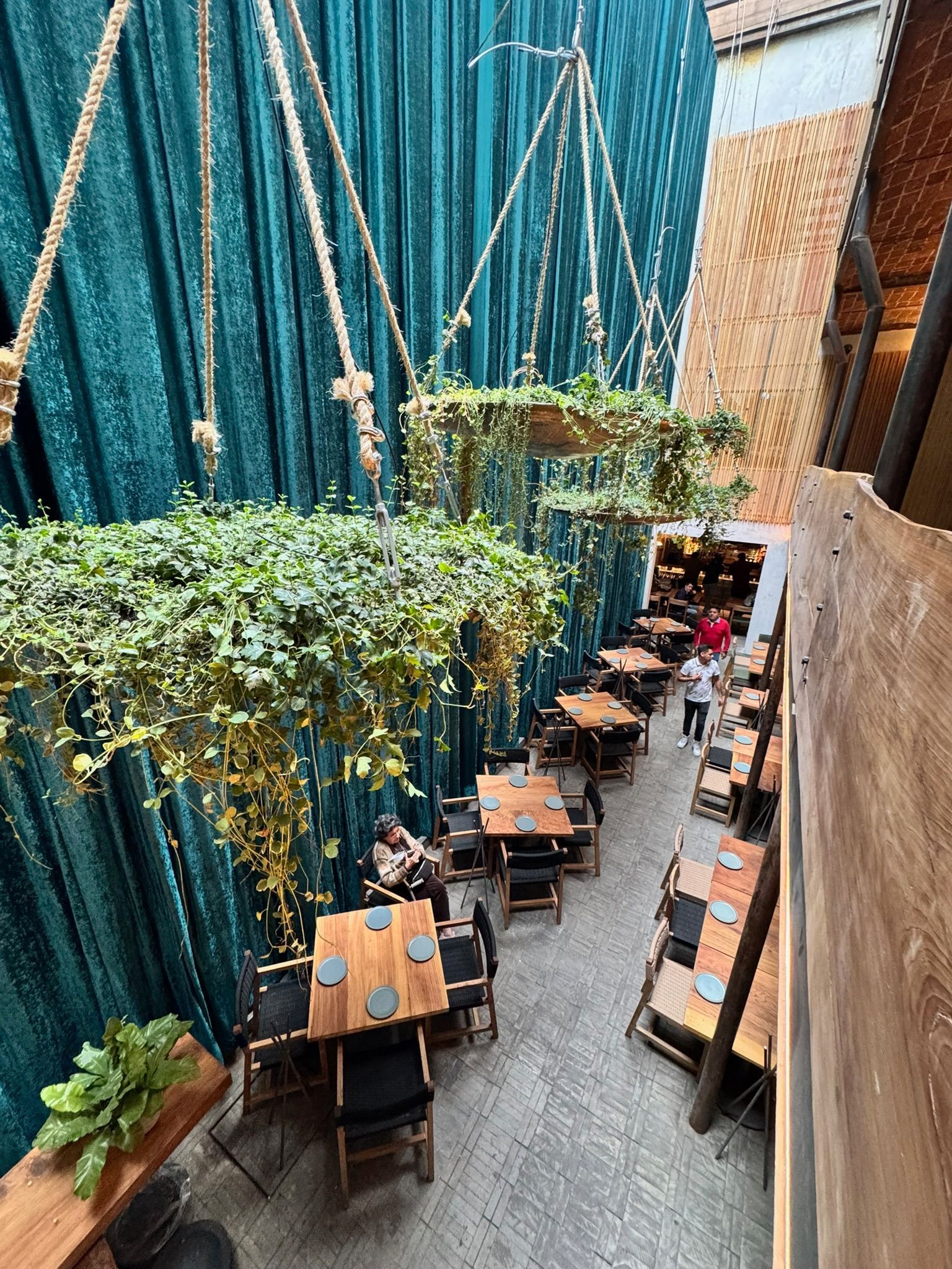 Restaurante con plantas colgantes, mesas y sillas. Fondo de cortina verde azulado, paredes de madera y gente.