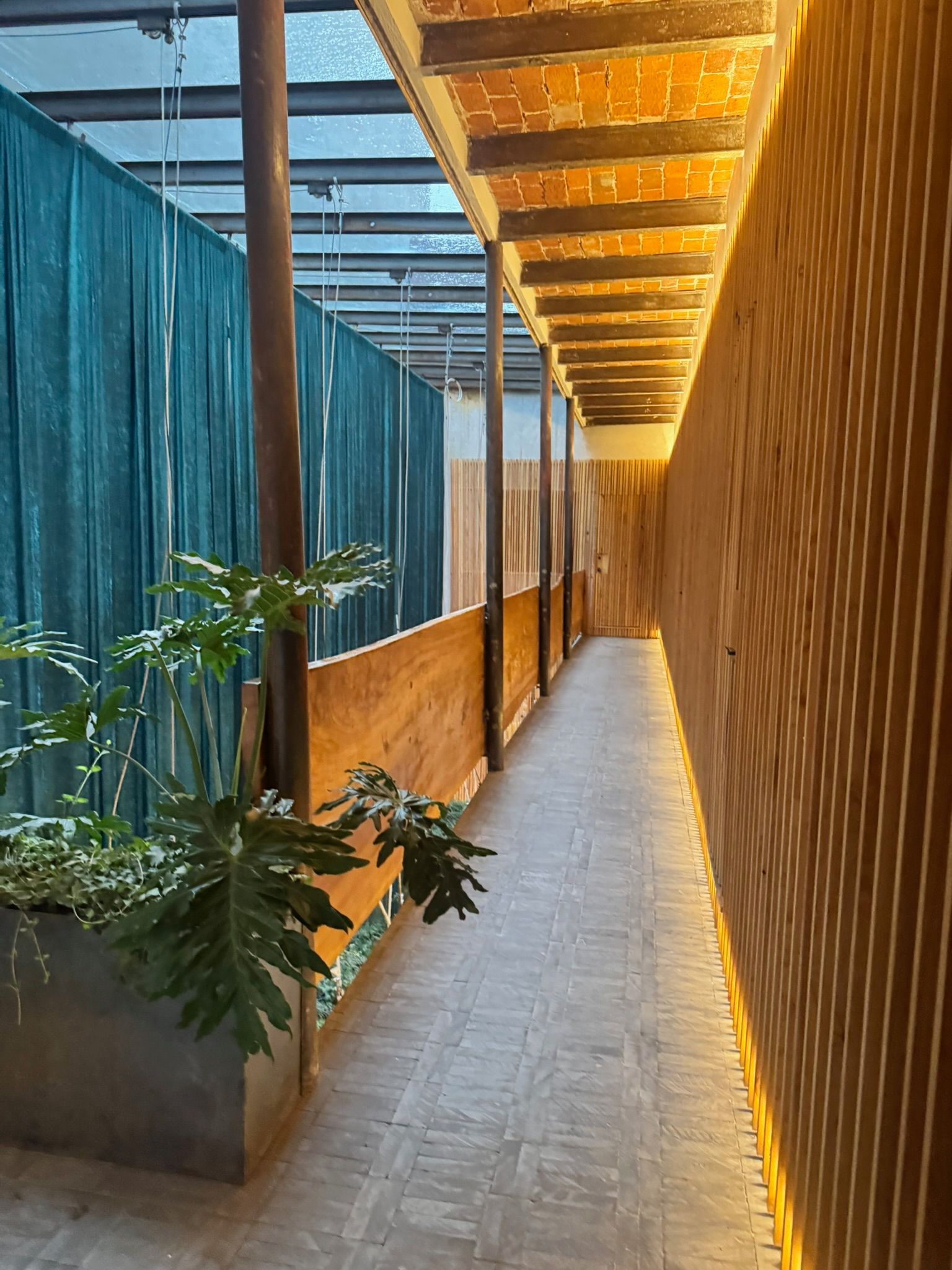 Un pasillo estrecho con paredes de madera e iluminación en el techo. Plantas y cortinas verdes a un lado.