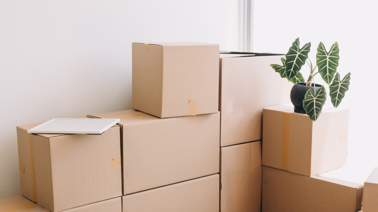 Cardboard boxes stacked, one with a plant on top and a tablet resting on another, near a white wall.
