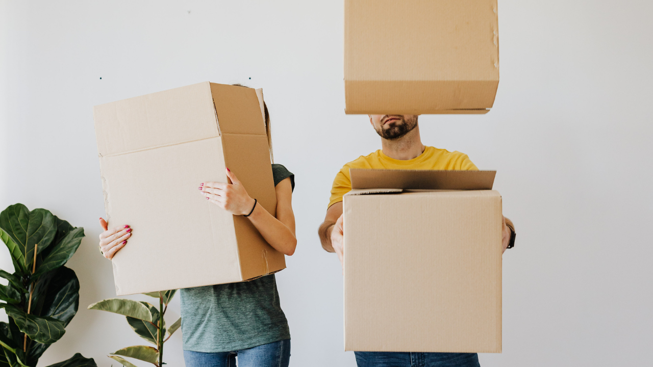 Couple carrying moving boxes; one box above man's head, boxes in hands, in a white-walled room with a plant.