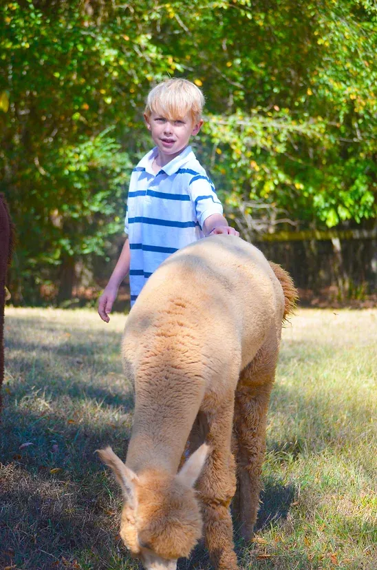Asher2