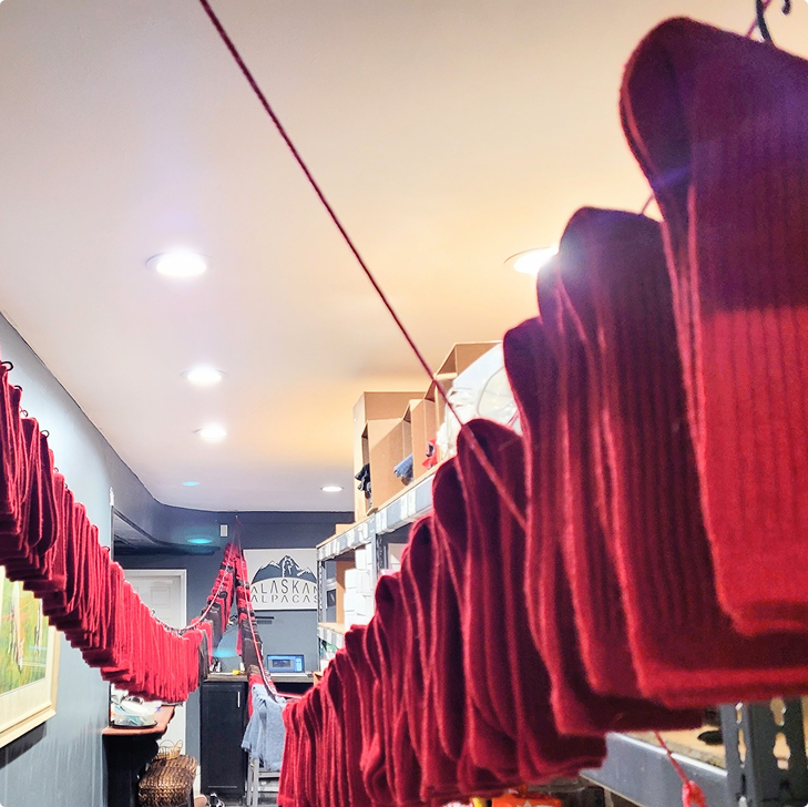 Red socks hanging on a clothesline in a room with shelves.