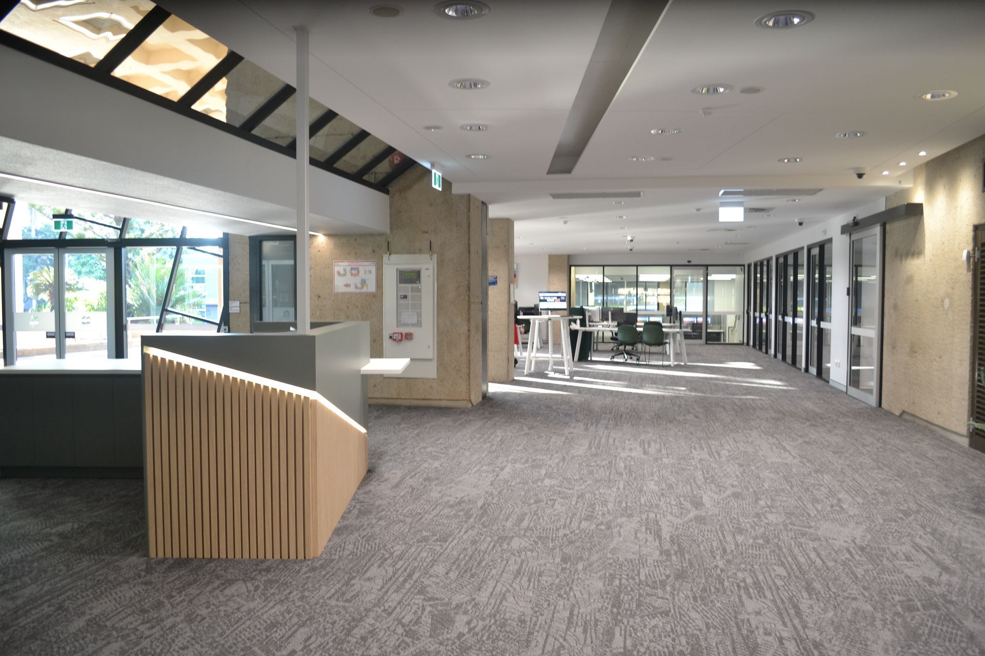 Office Hallway With Textured Grey Carpet — Nick Favot Painting In Bohle, QLD
