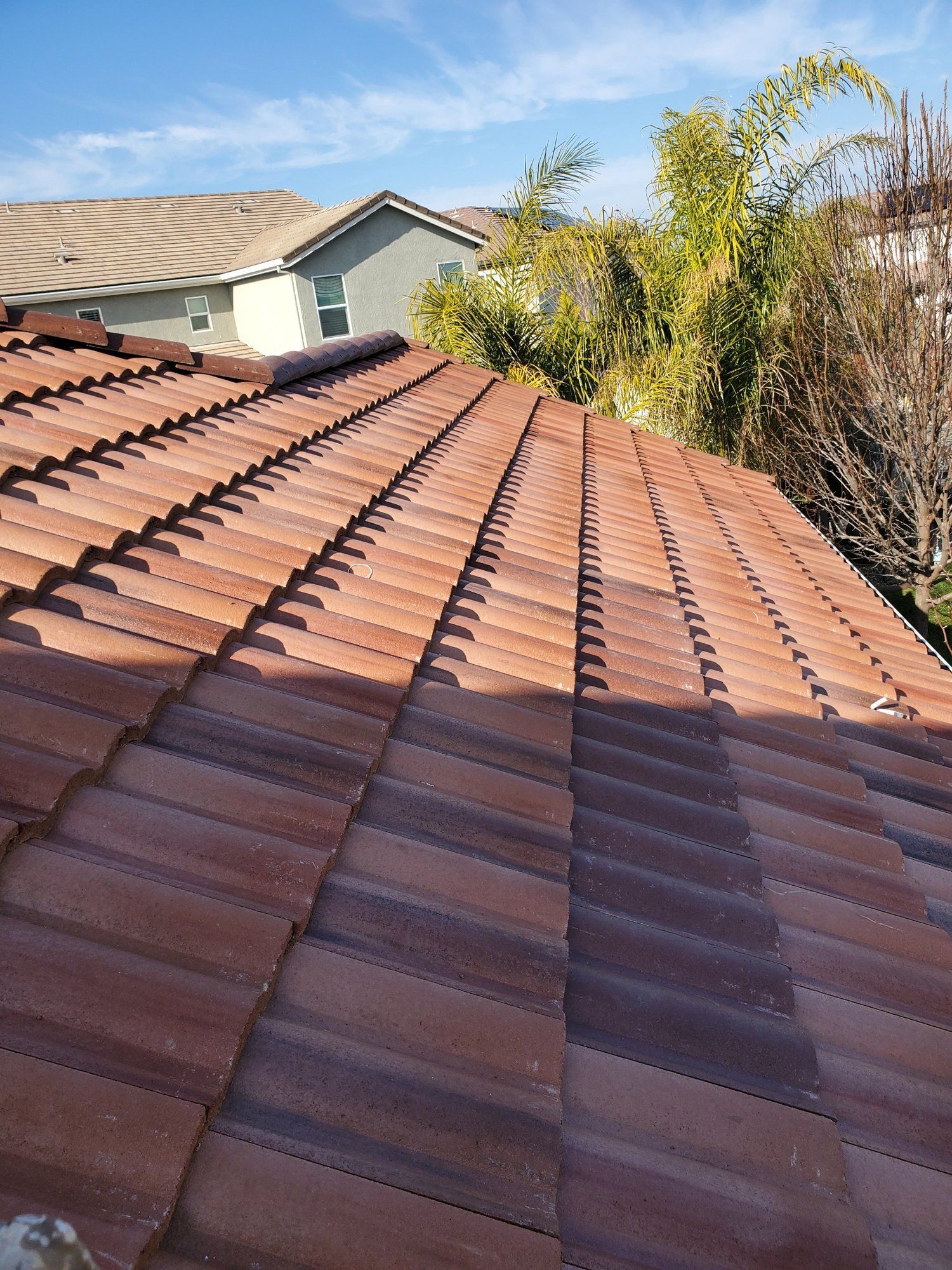 A tiled roof with a blue sky in the background