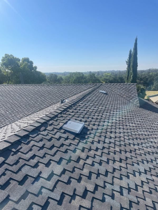 A roof with a skylight on it and trees in the background.