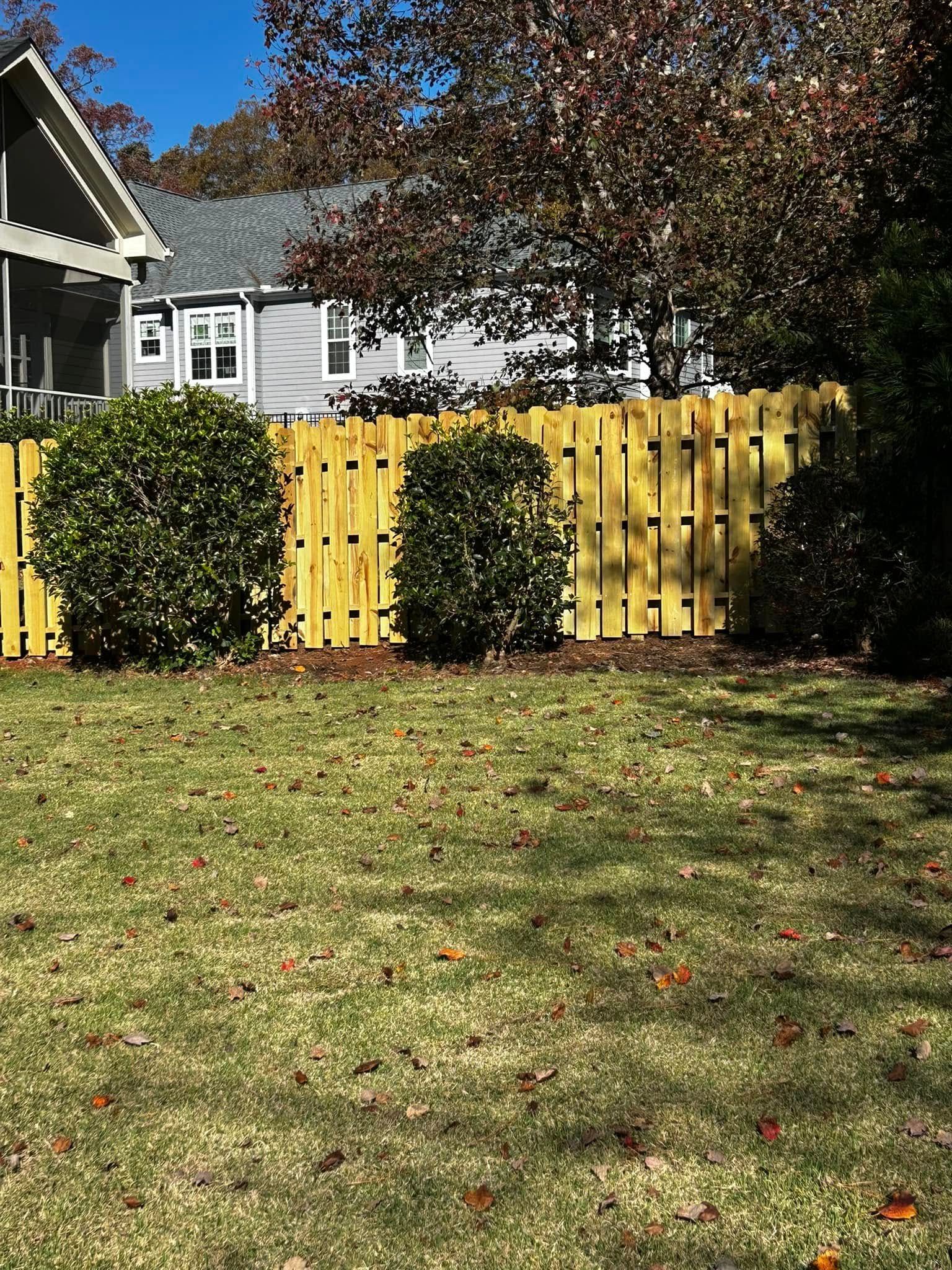 A yellow fence borders a grassy lawn with three green bushes, houses in the background.