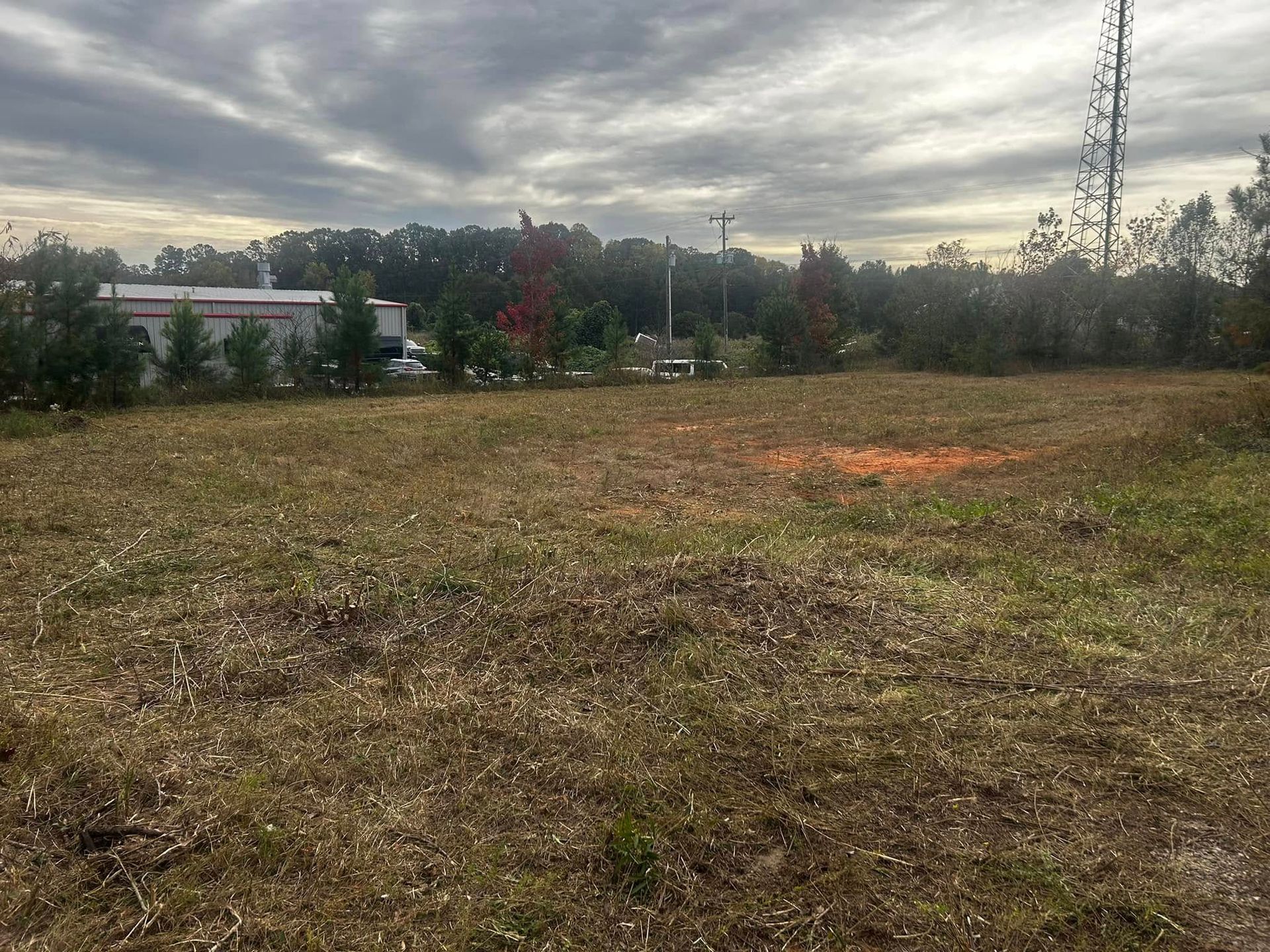 Grassy field under a cloudy sky, with a few trees in the background and a tall structure on the right.