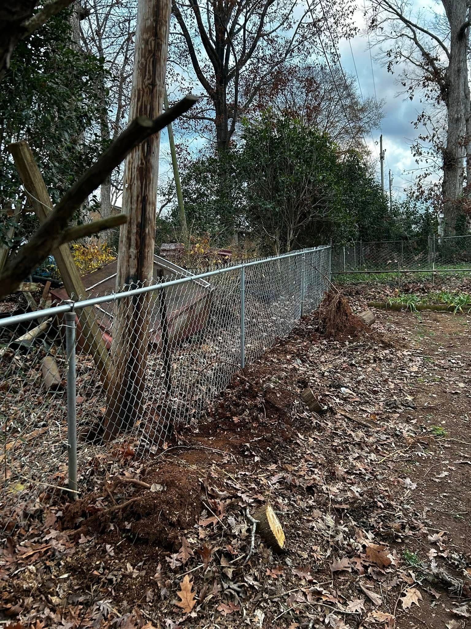 Chain-link fence in a wooded area with fallen leaves on the ground.