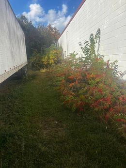 Grassy area between two white walls, with colorful bushes and a blue sky peeking through.