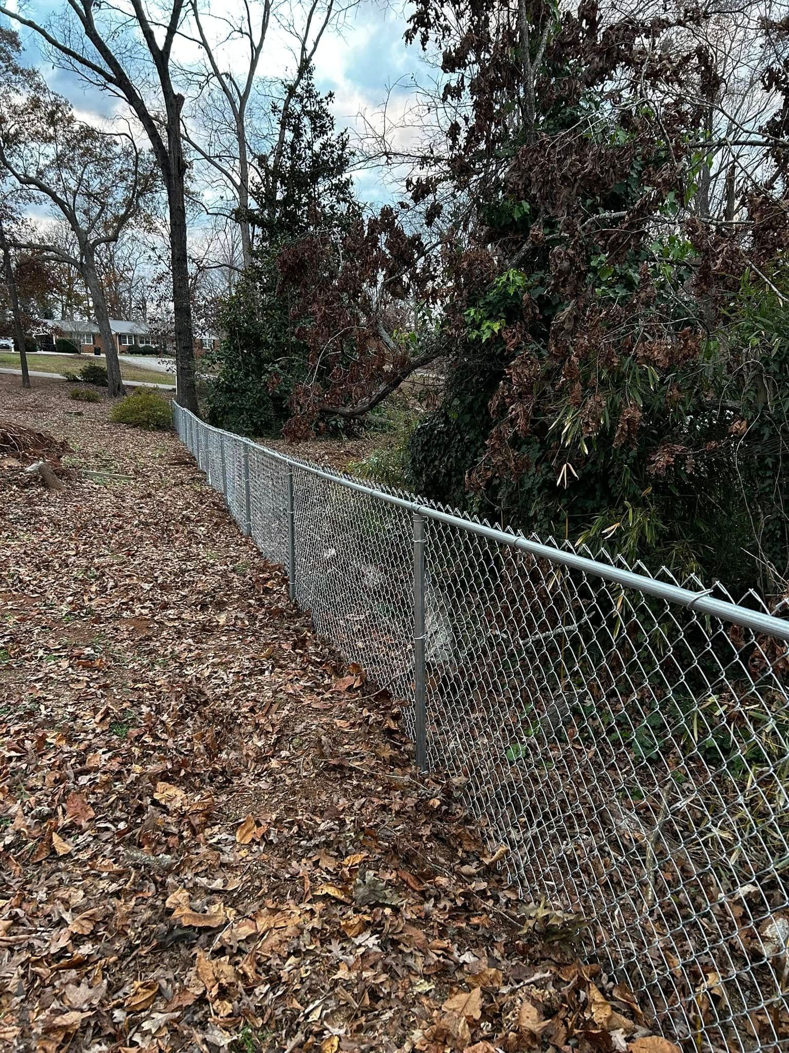 Chain-link fence borders a yard covered in fallen brown leaves, with trees and bushes in the background.