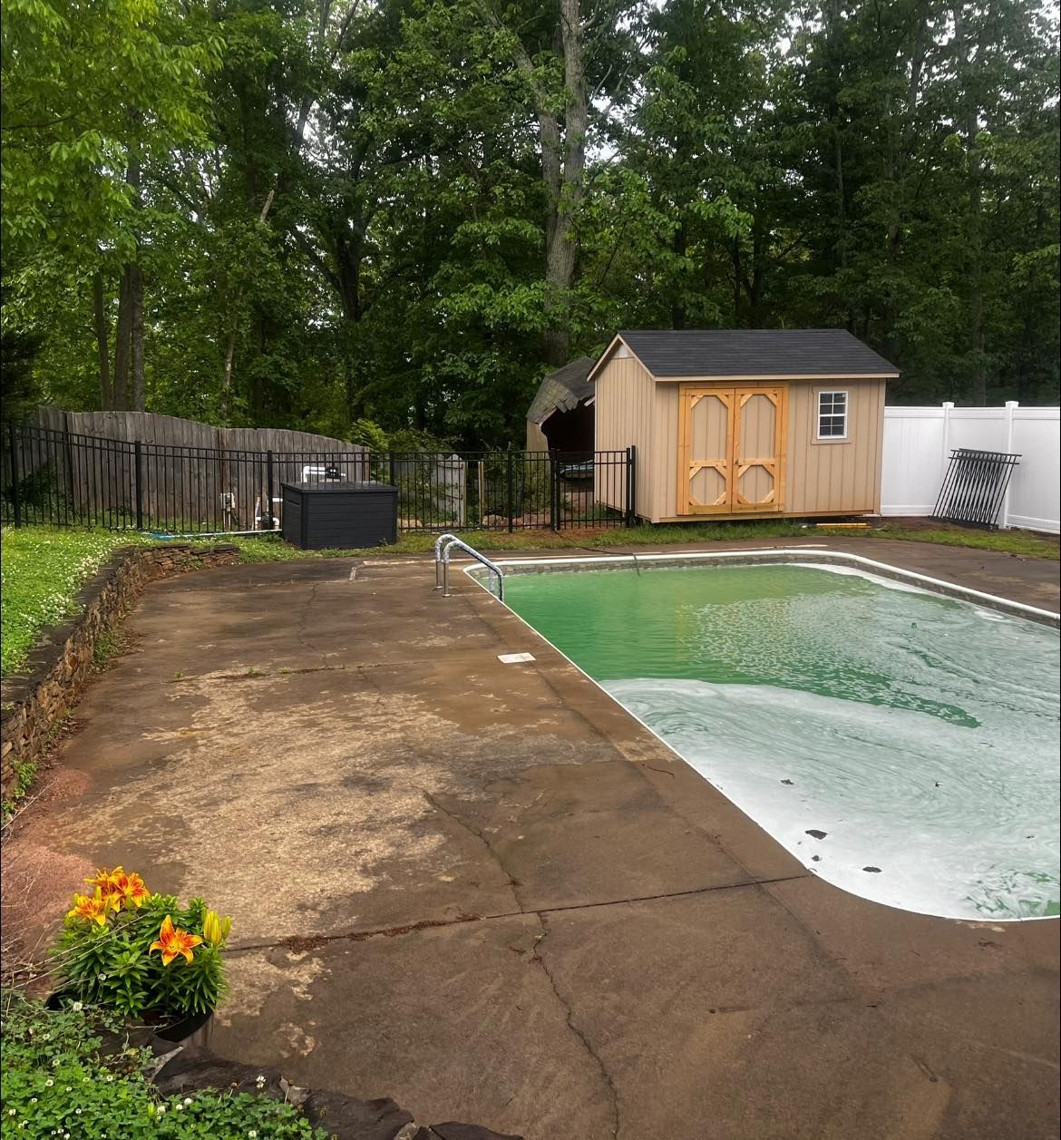 Backyard with a green pool, tan shed, and concrete patio. Trees and a fence in the background.