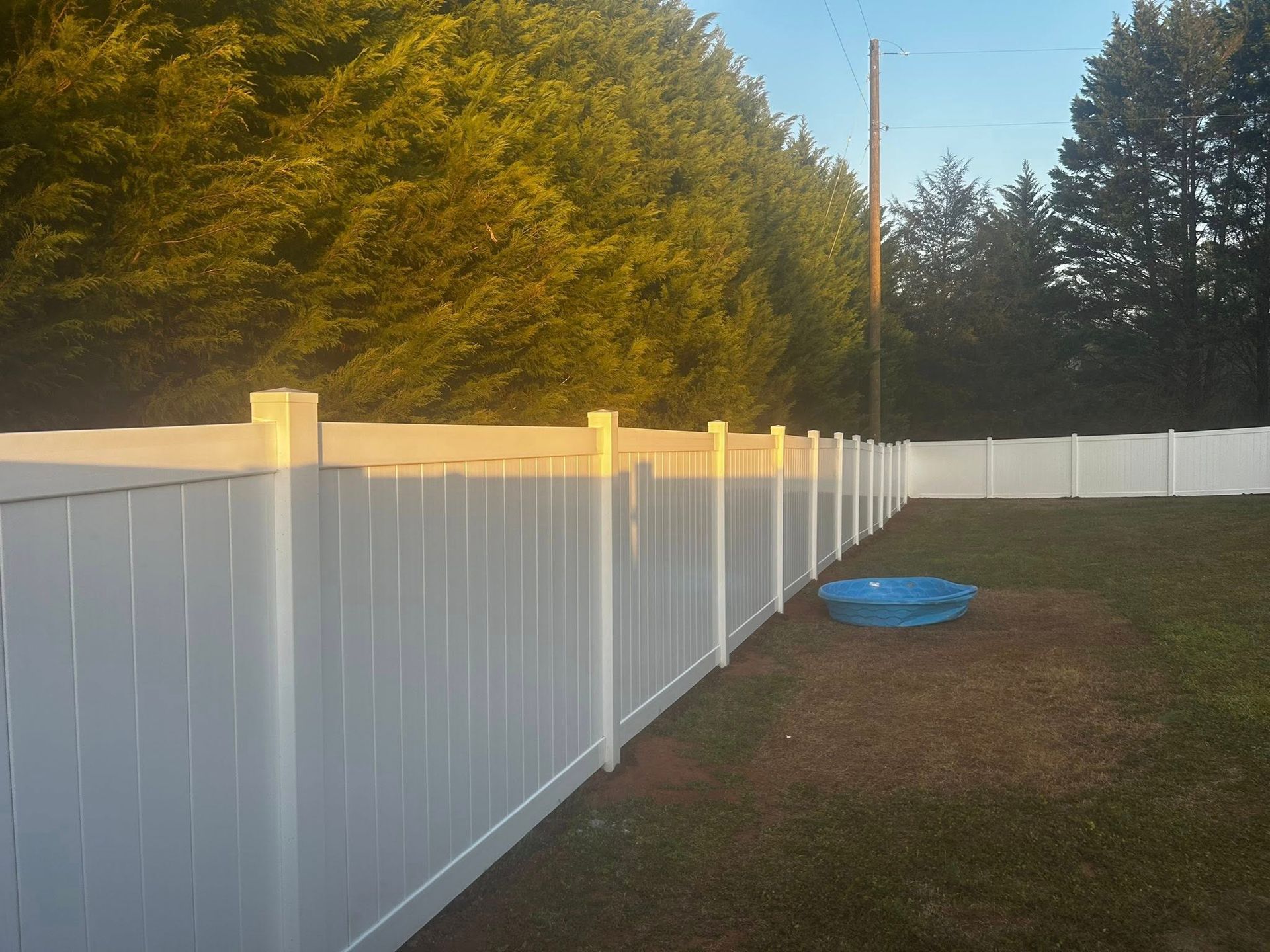 White vinyl fence encloses a grassy yard, with trees and a small blue pool in the background.