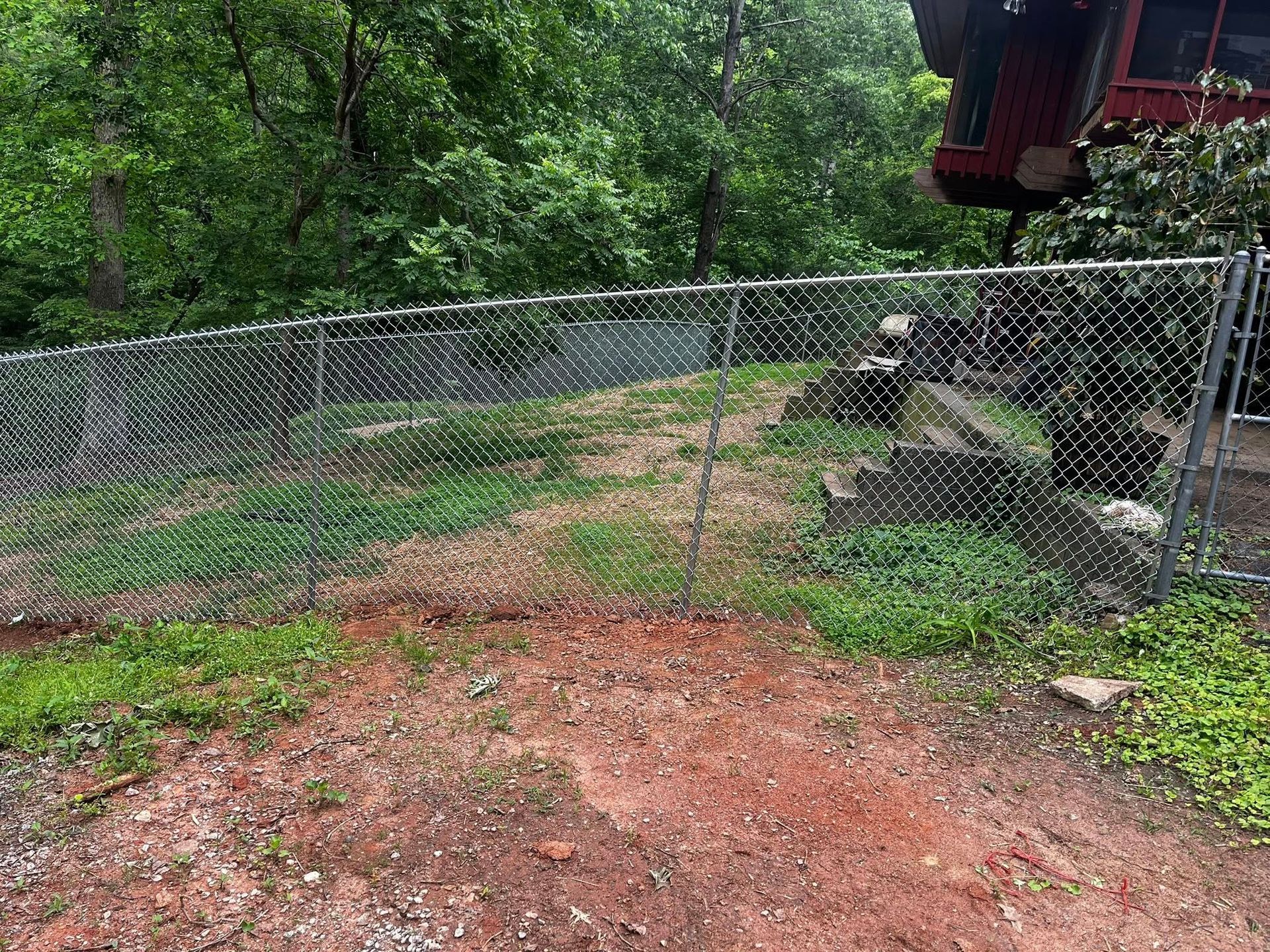 Chain-link fence in front of a slightly sloped yard with some weeds. Trees and a portion of a building are visible.