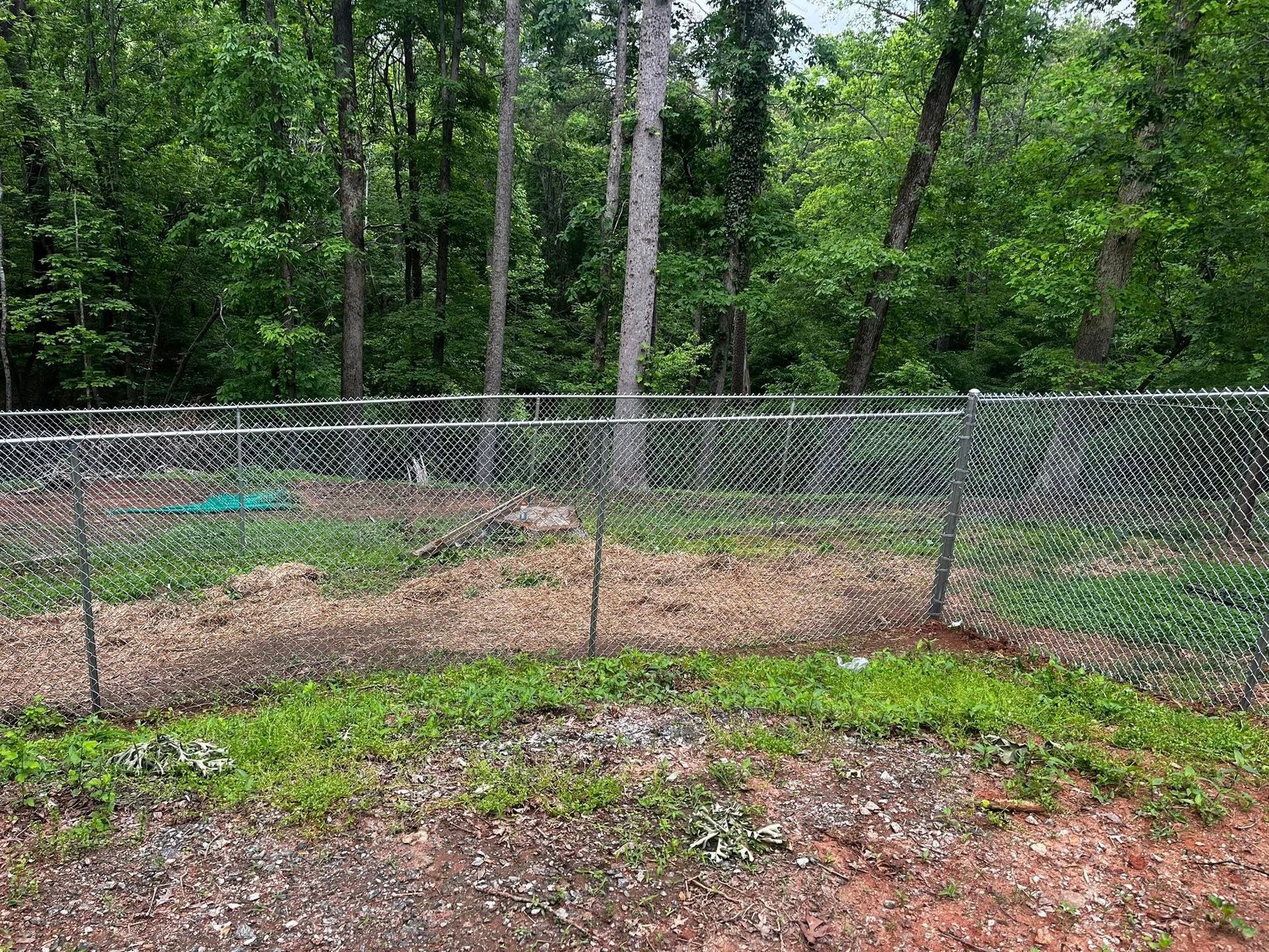Chain-link fence encloses a small garden with sparse vegetation, woods in the background.
