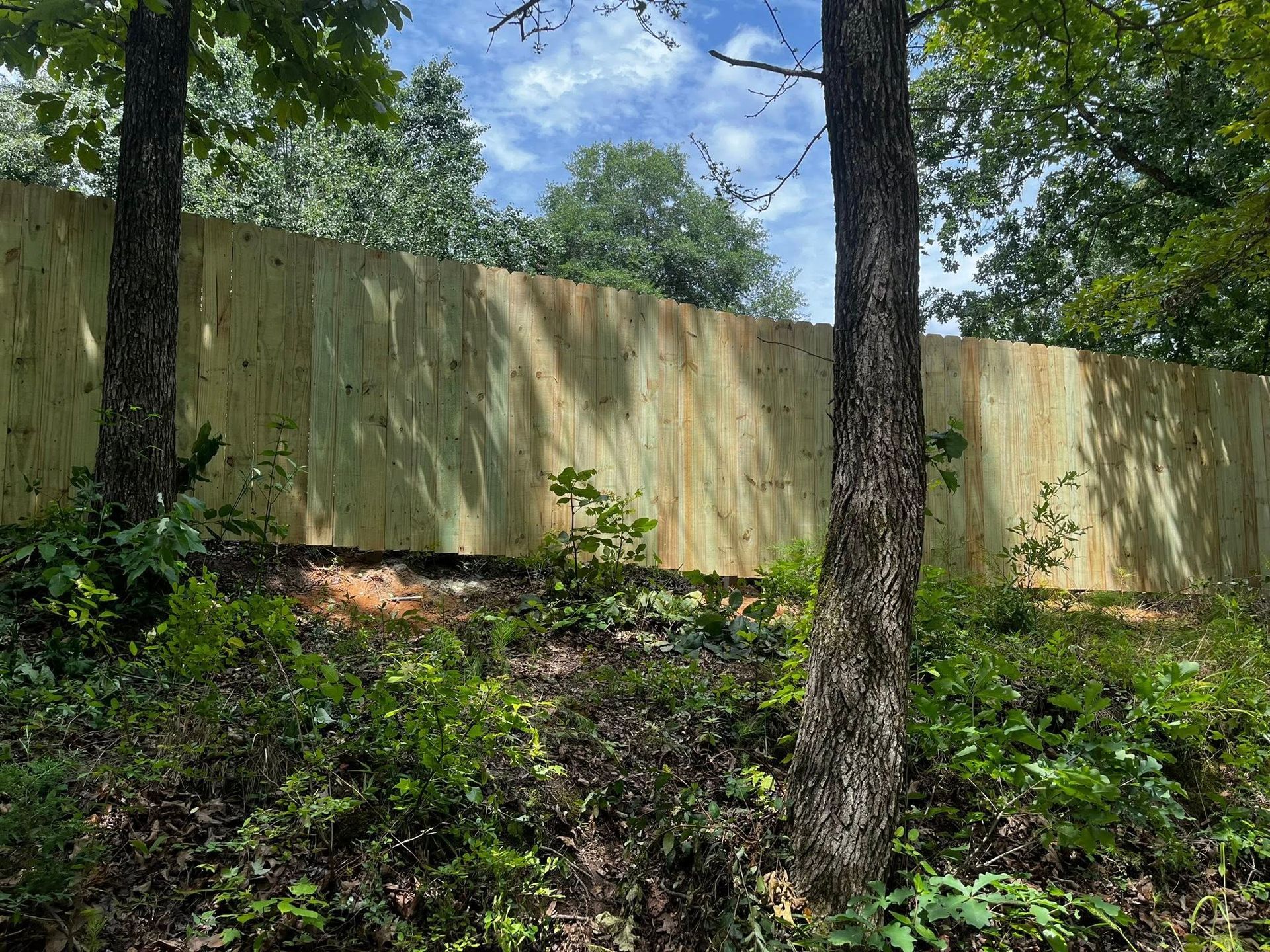 Wooden fence in a wooded area with trees and foliage in front.