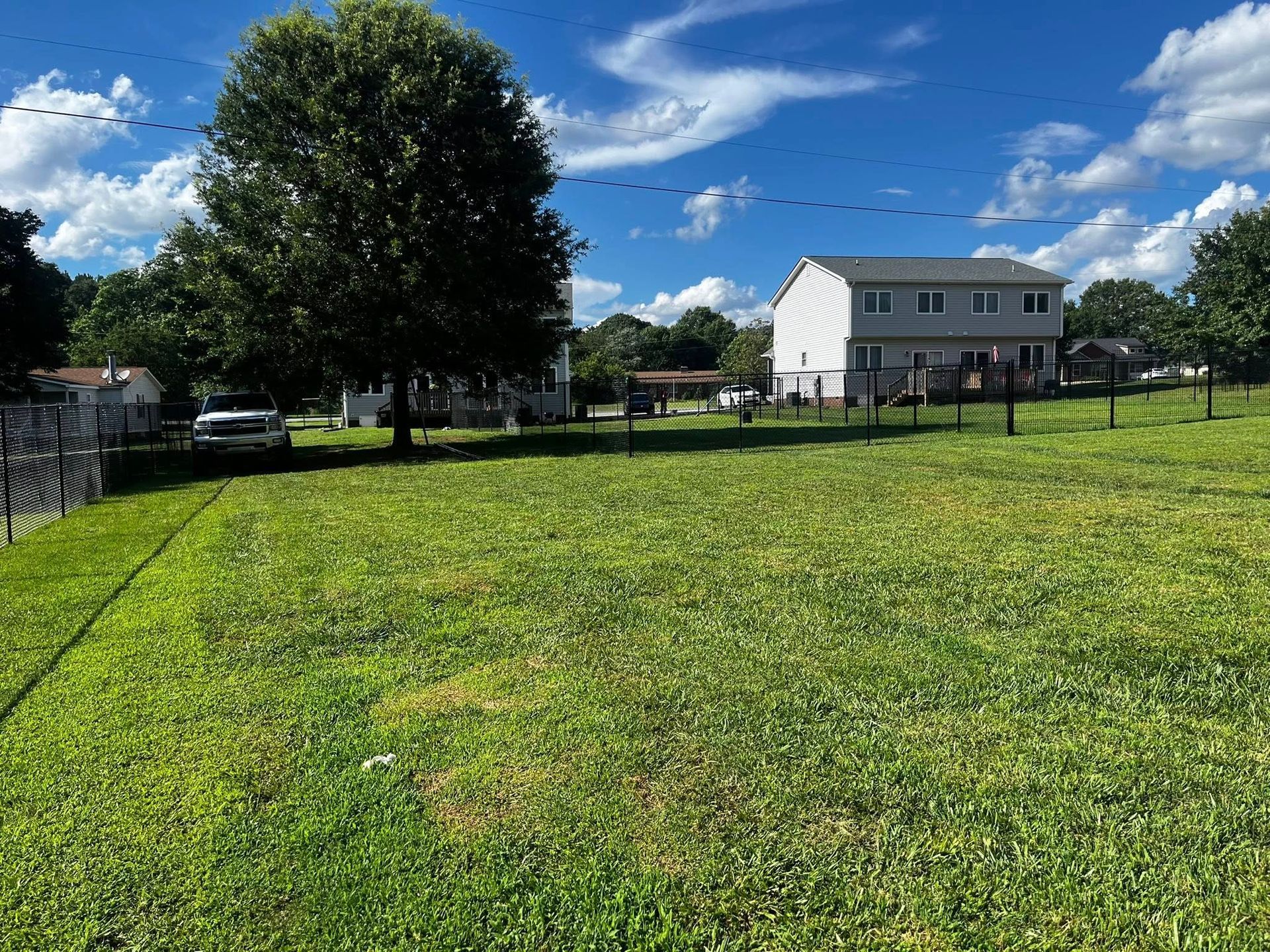 Grassy yard with a large tree, fence, and two-story house under a blue sky.