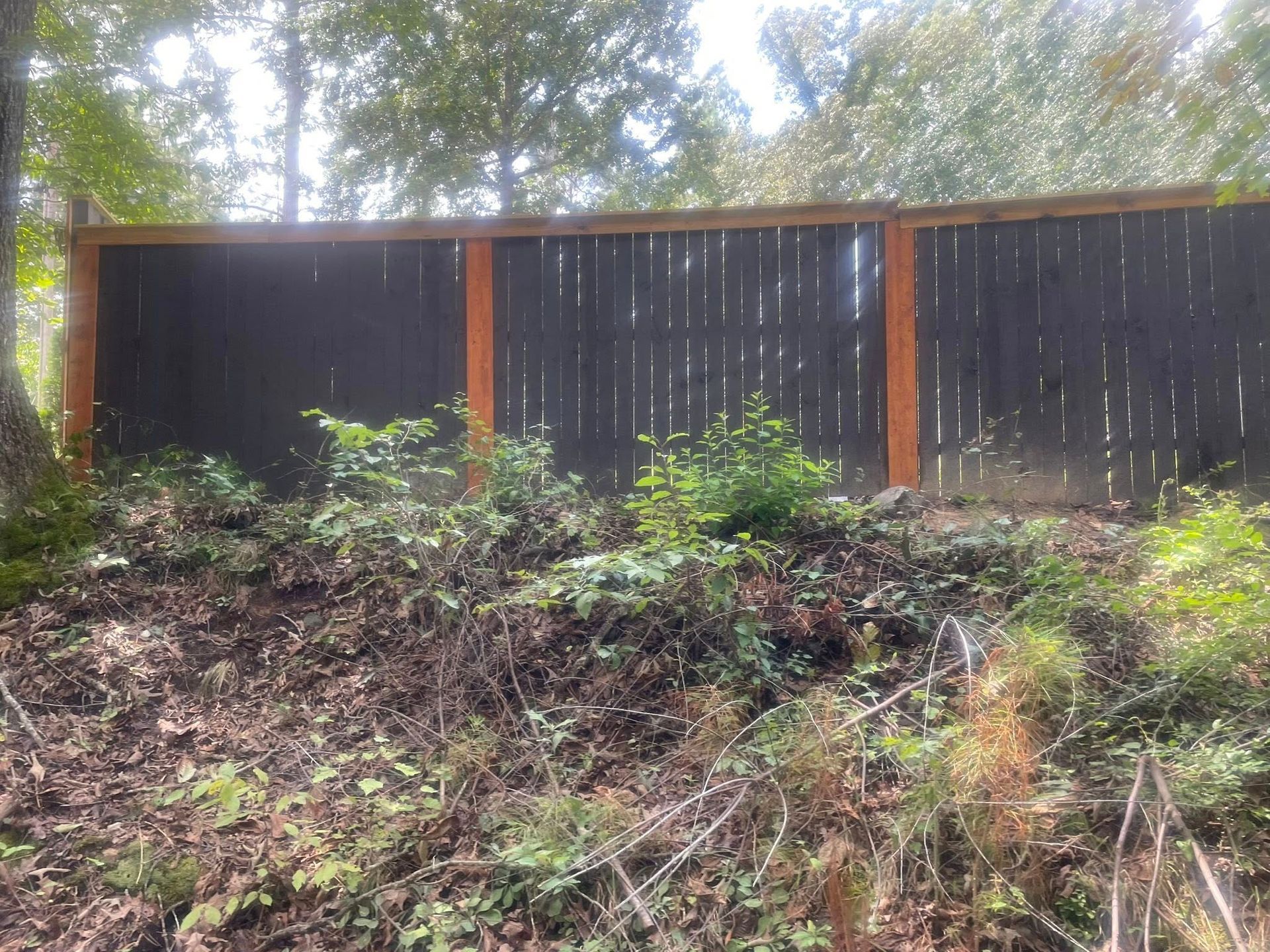 Black wooden fence with orange posts, behind overgrown brush.