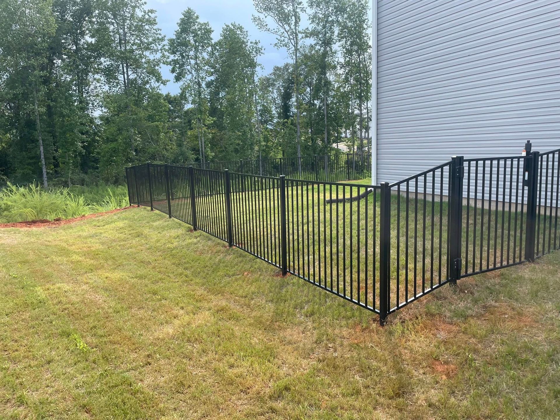 Black metal fence in a grassy yard, with trees and a house in the background.