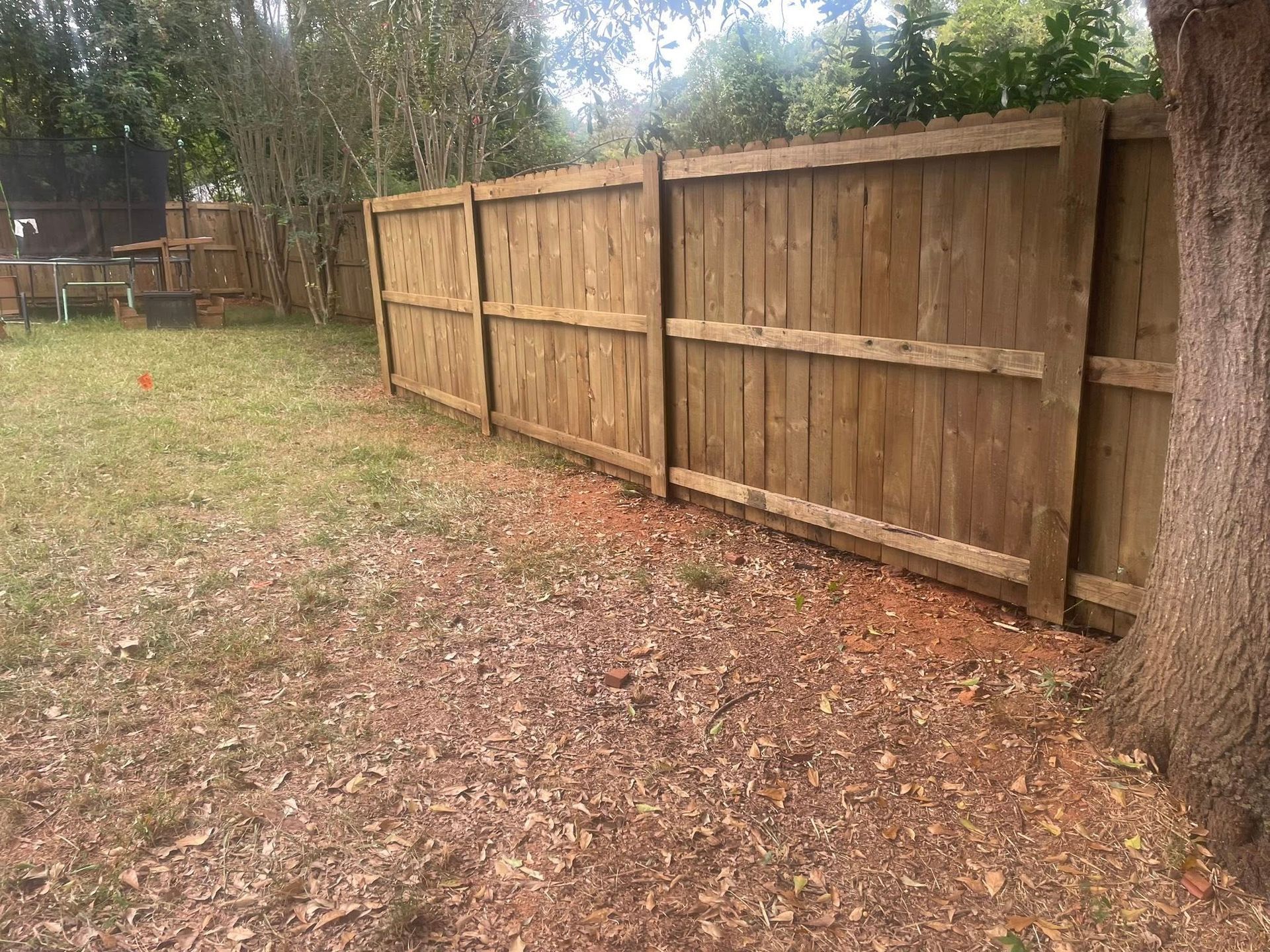 Wooden fence in a grassy yard, near a tree. Brown fence, green grass, and fall leaves are visible.
