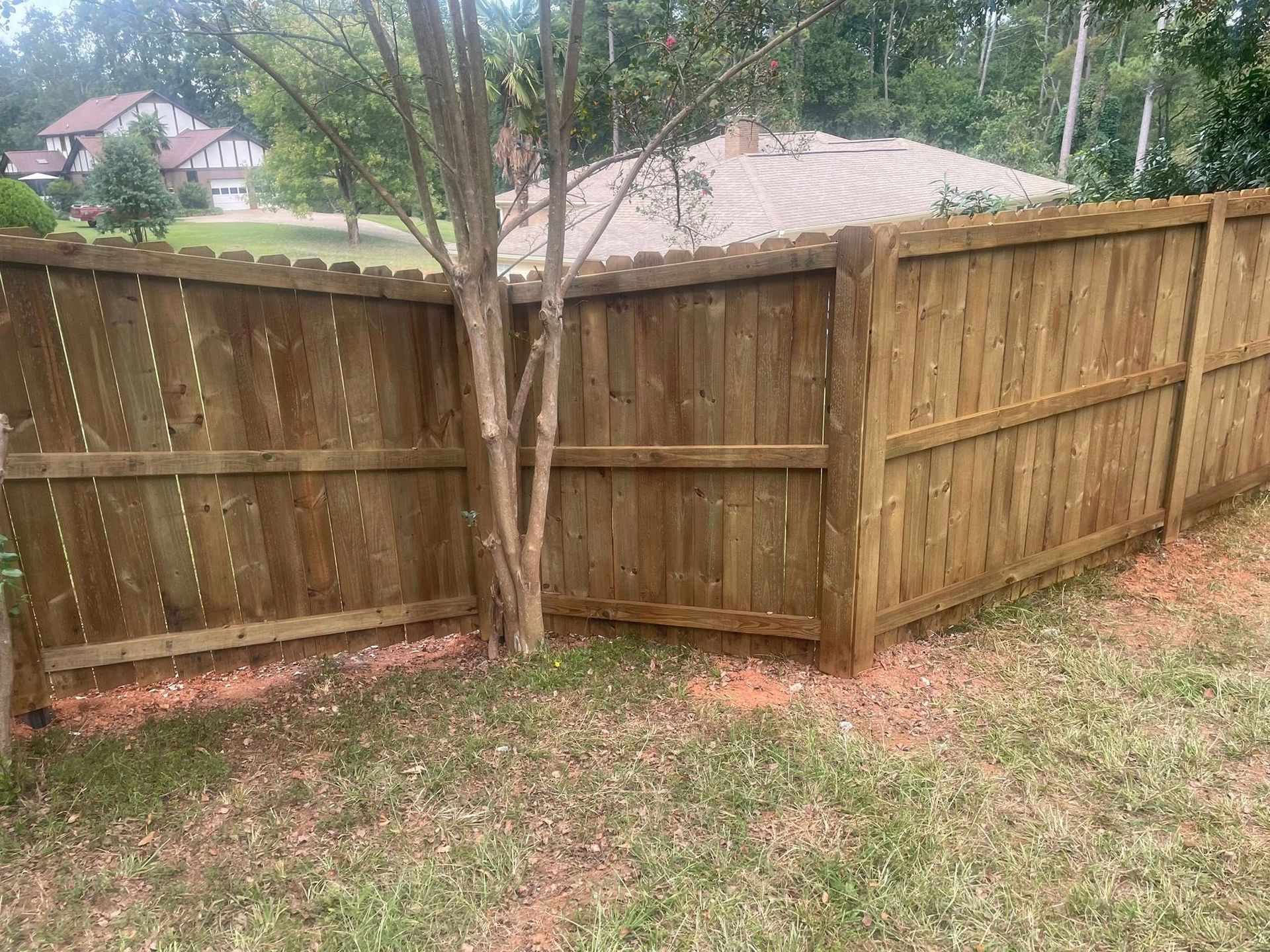 Wooden fence surrounding a tree in a grassy yard. Houses in the background.