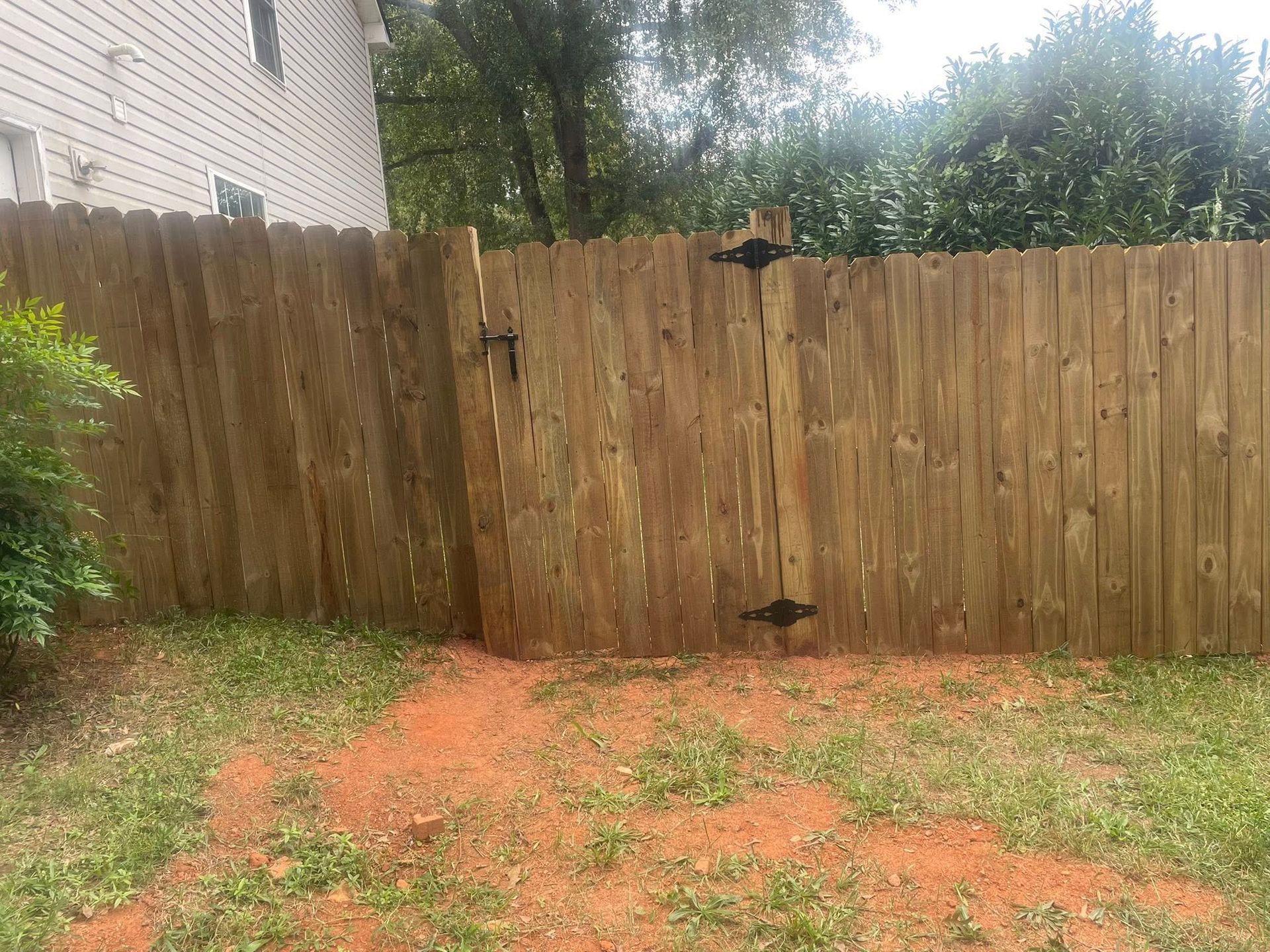 Wooden fence with gate in backyard, brown wood and green grass.