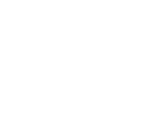 JammyPatch logo