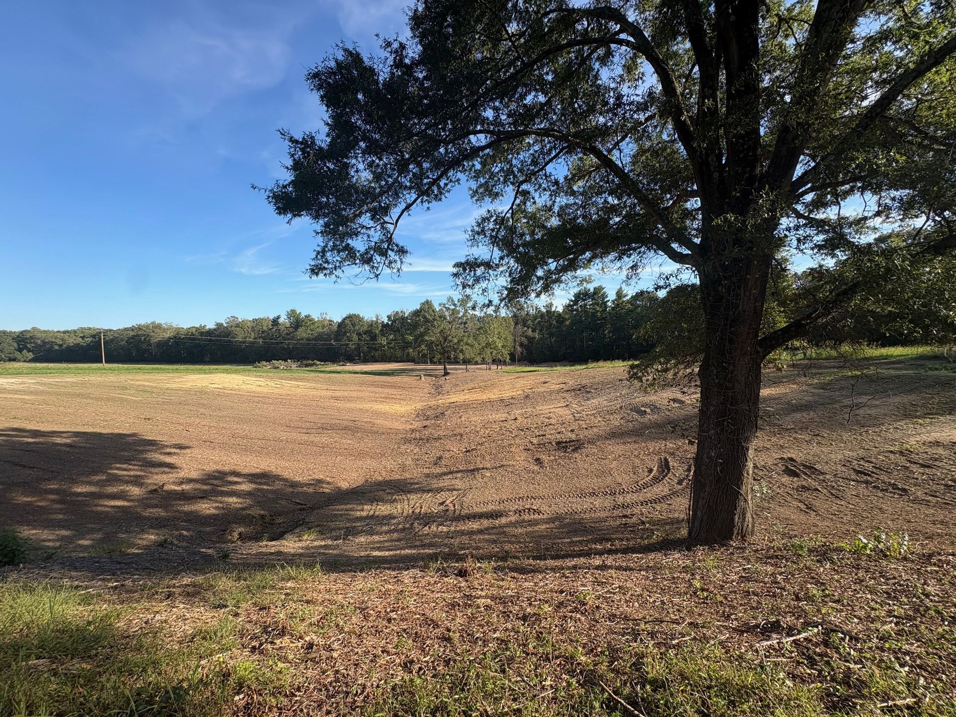 Orange construction vehicle tracks close-up, blurred background of trees and rocks.