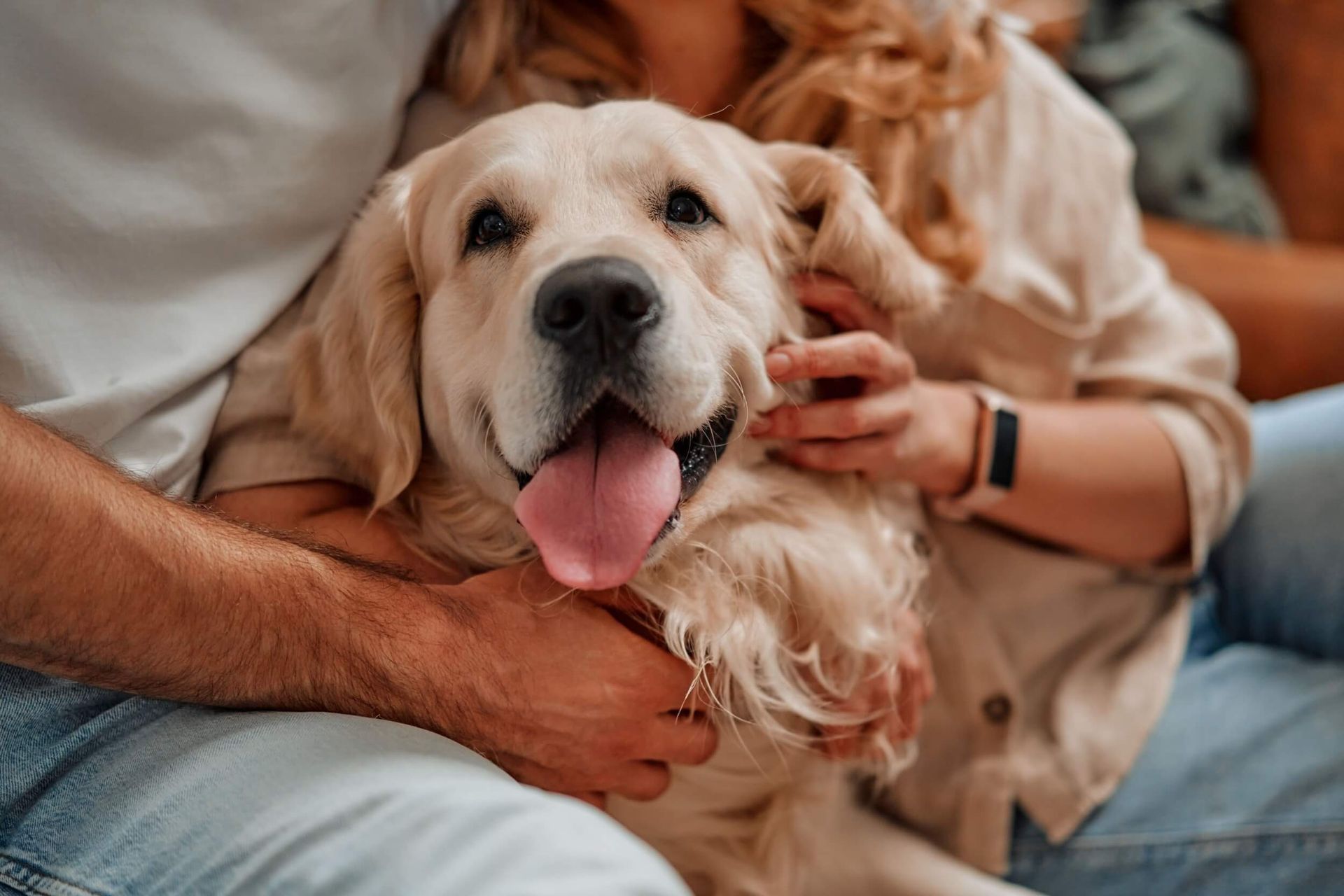 A man and a woman are sitting on a couch holding a dog.