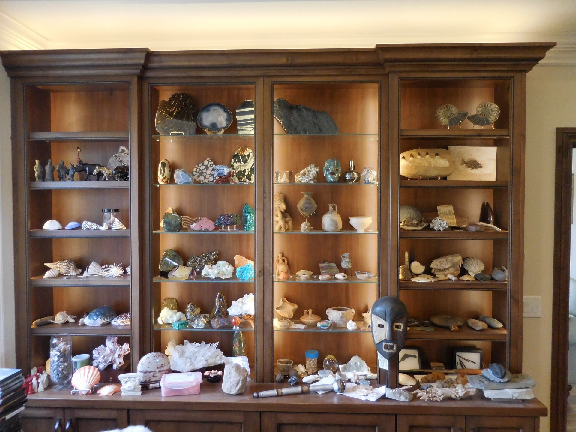 A room with a lot of shelves filled with various items